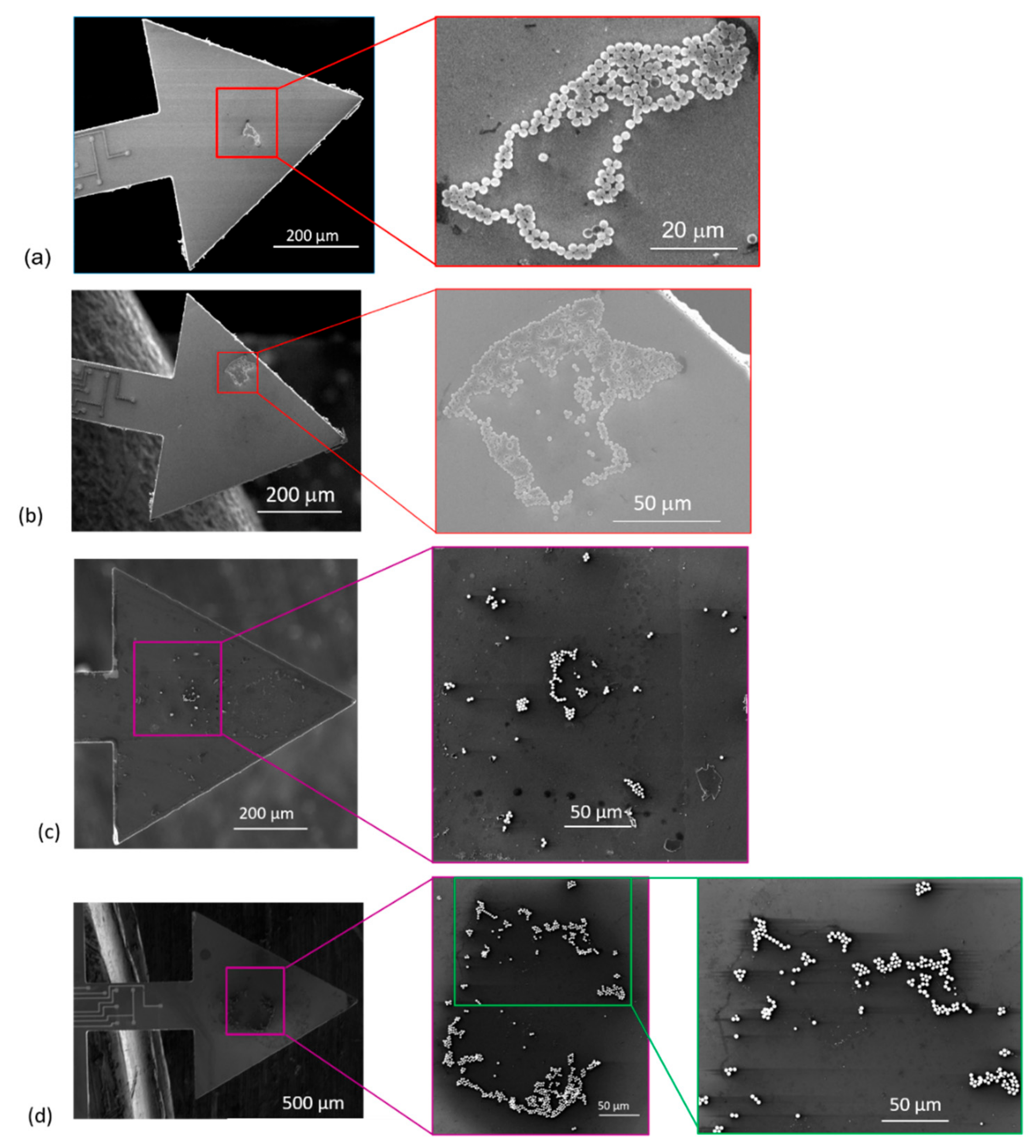 Sensors 19 04758 g011