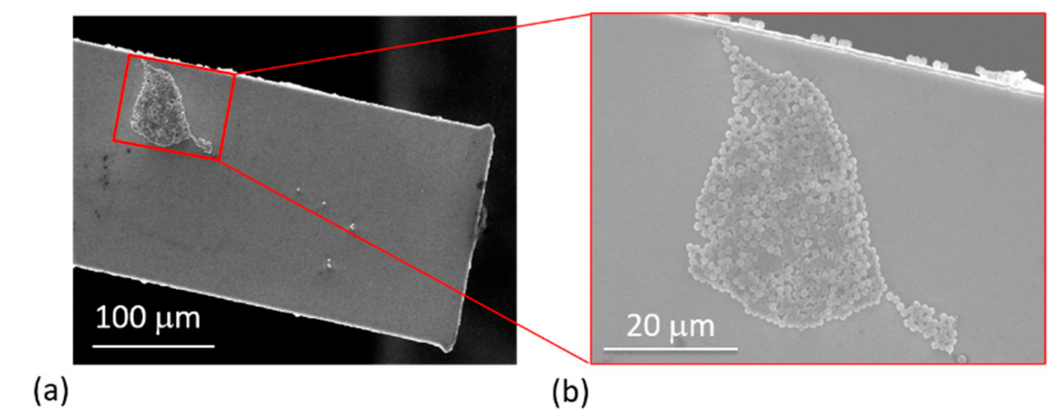 Sensors 19 04758 g012