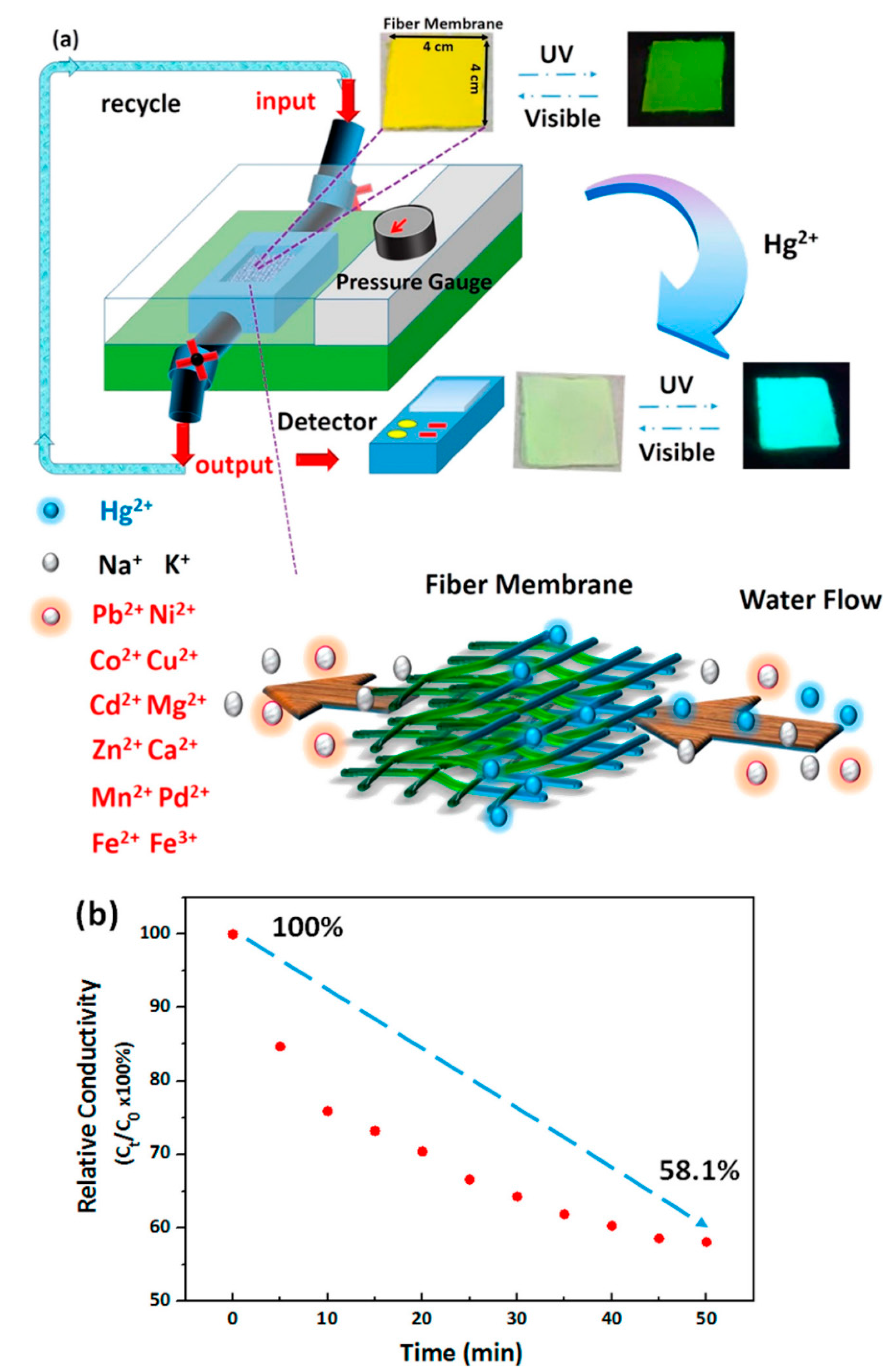 Sensors 19 04763 g005