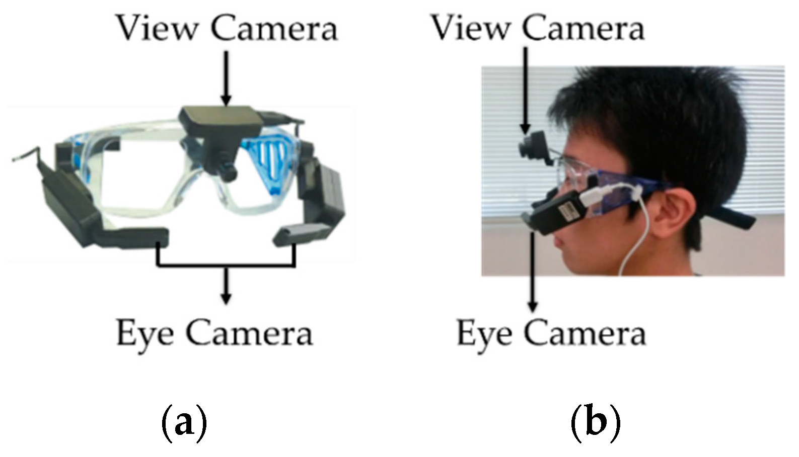 Sensors 19 04774 g001