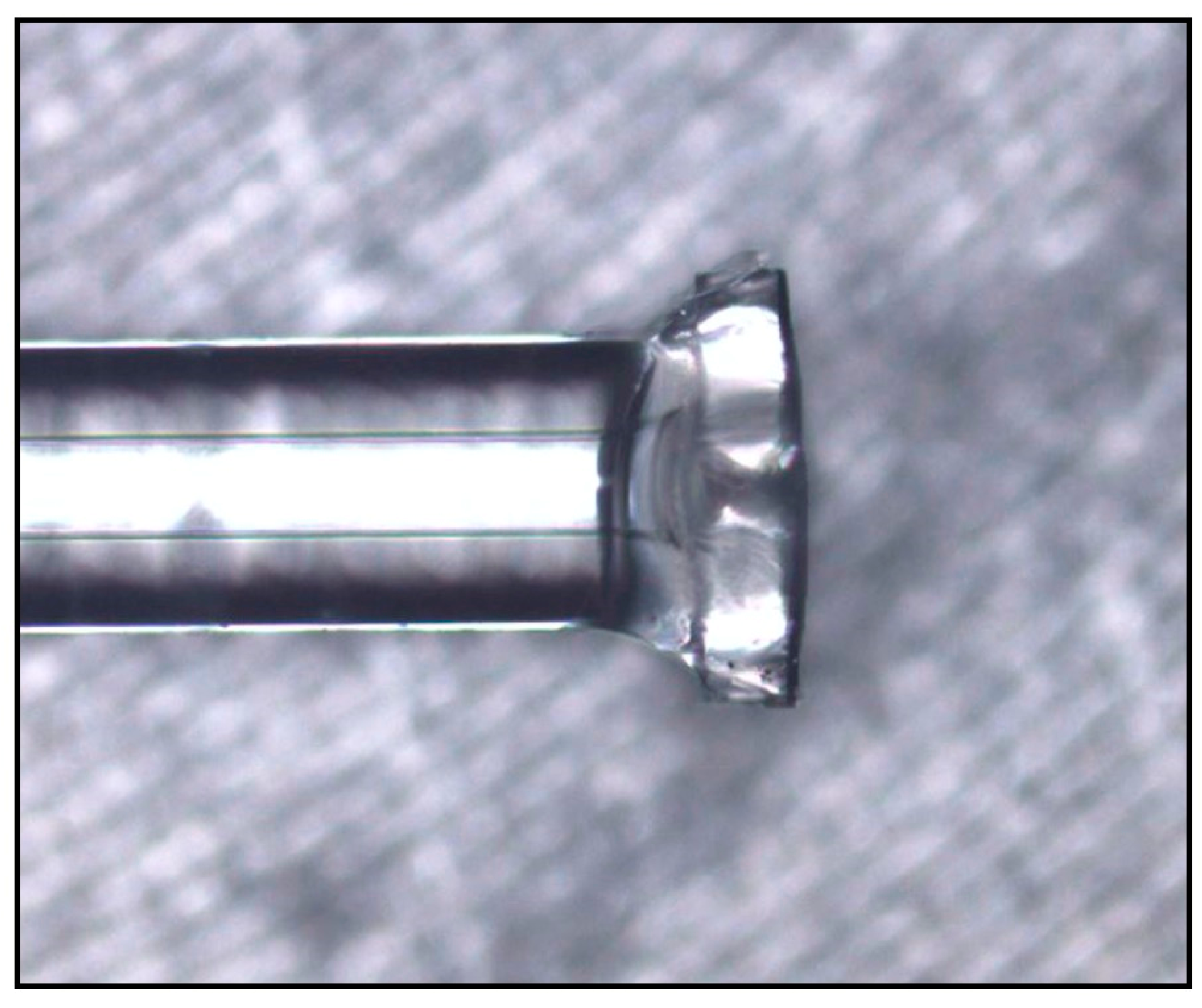 Sensors 19 04780 g010