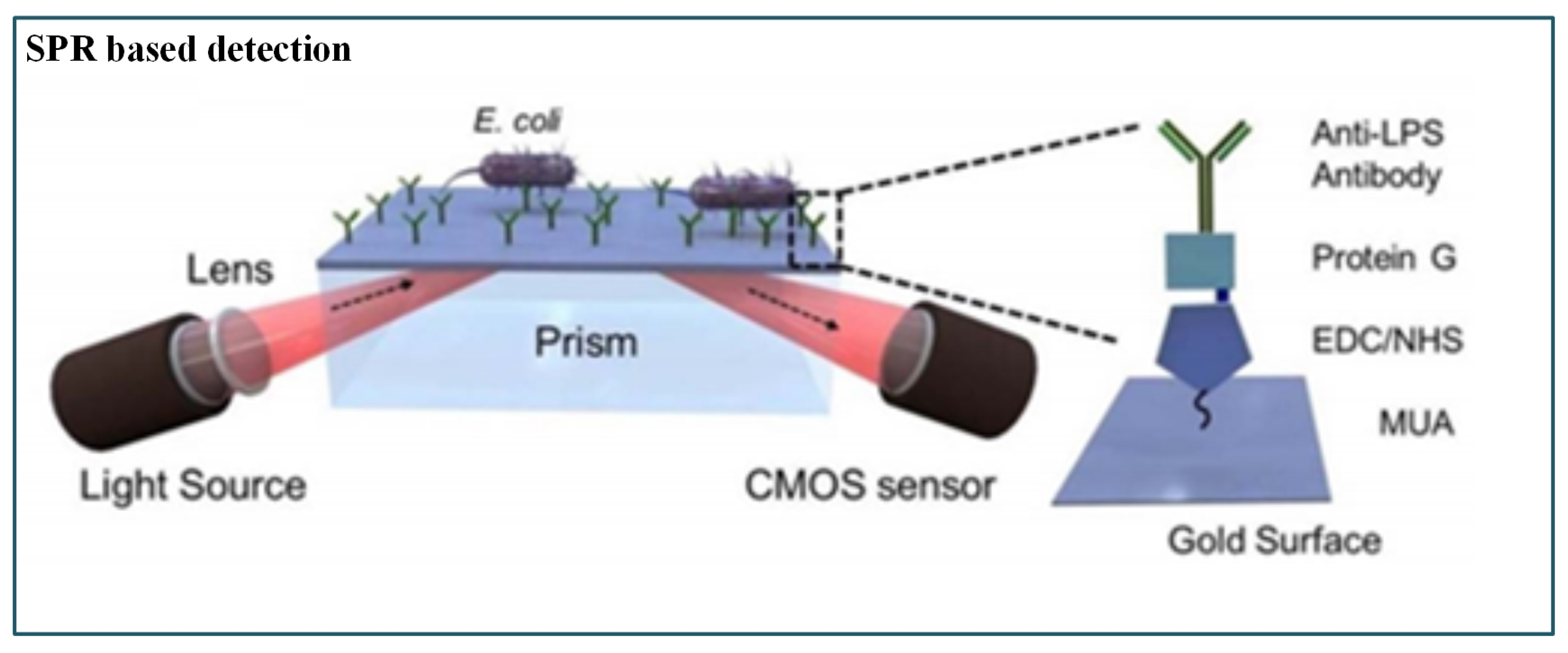 Sensors 19 04781 g011 Sensors 19 04781 g011