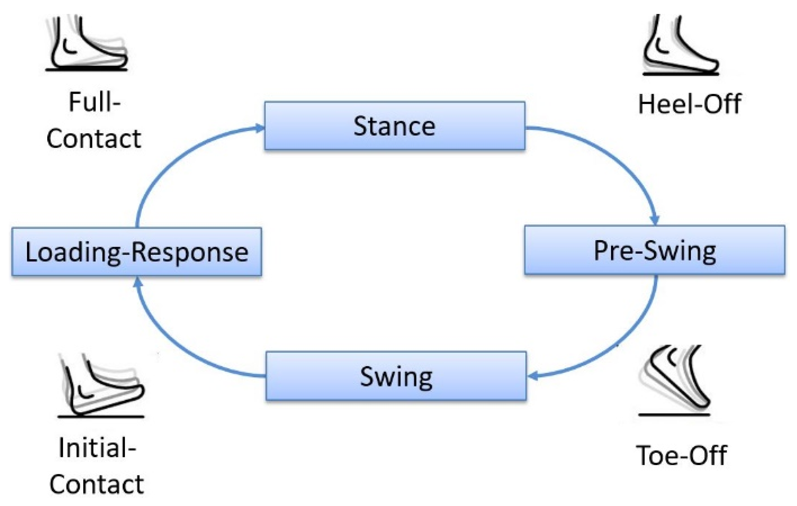 Sensors 19 04804 g004