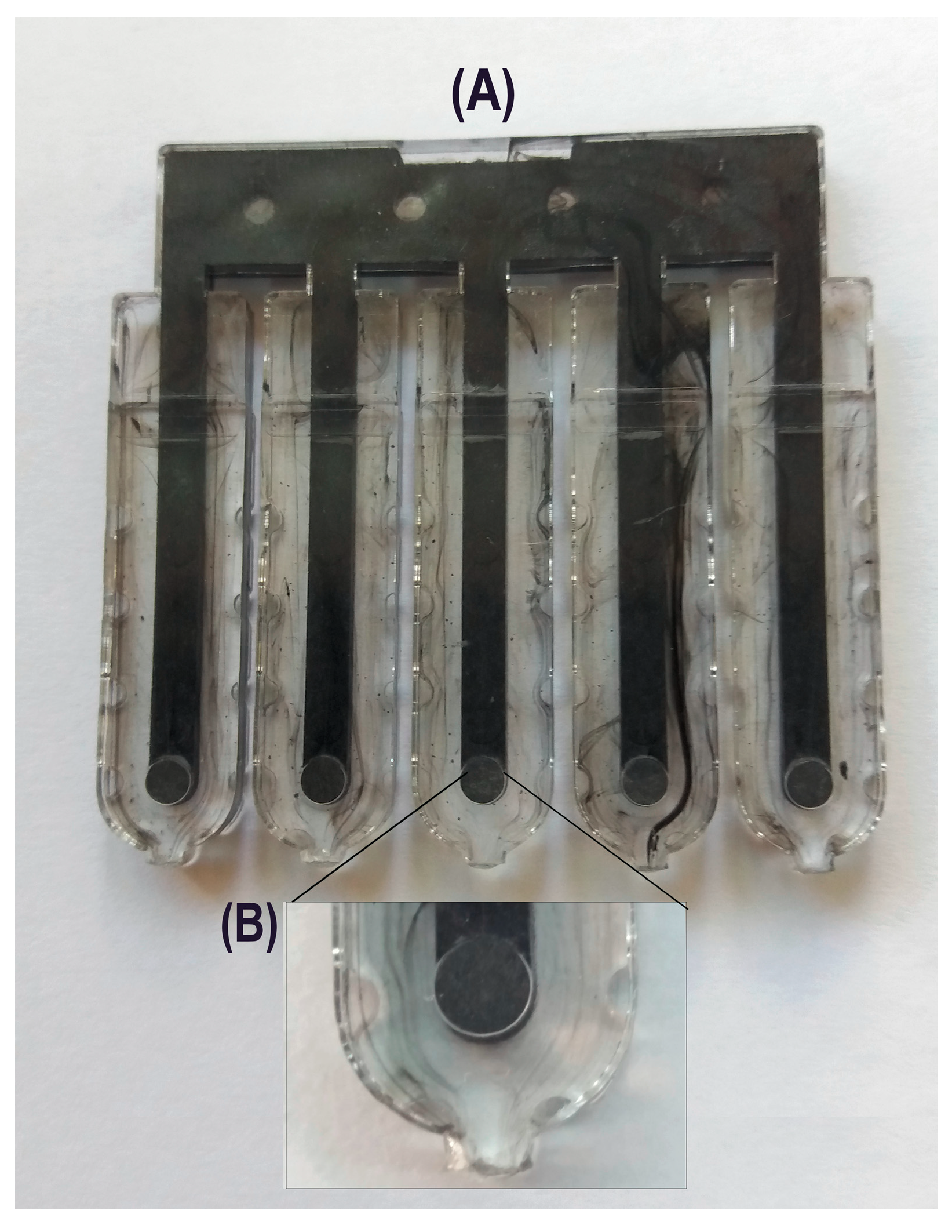 Sensors 19 04809 g001