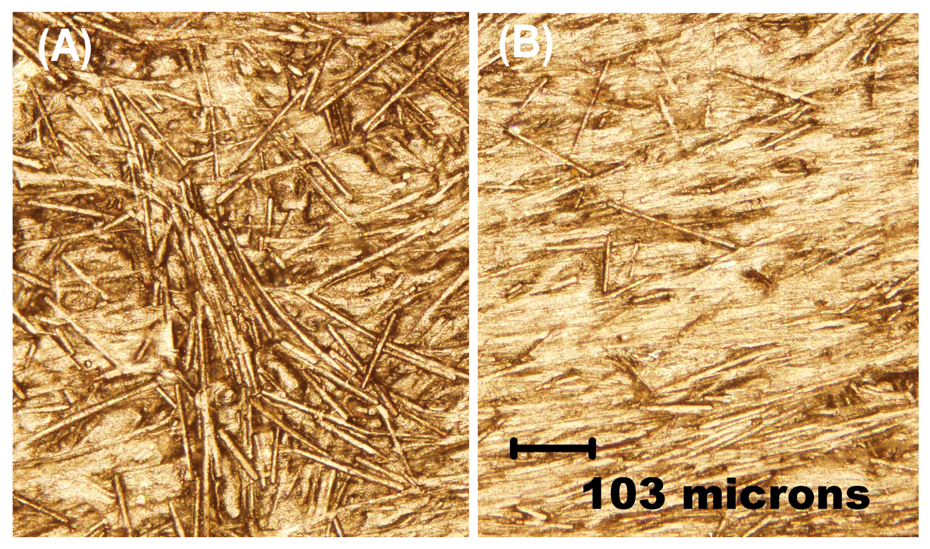 Sensors 19 04809 g002