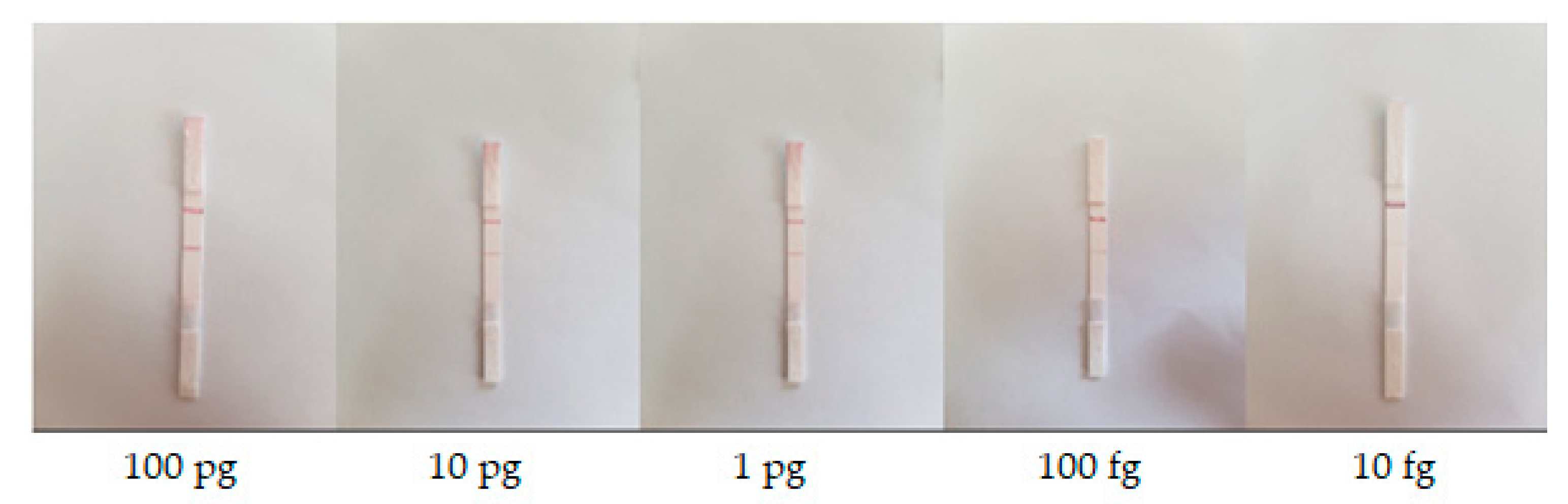 Sensors 19 04812 g003