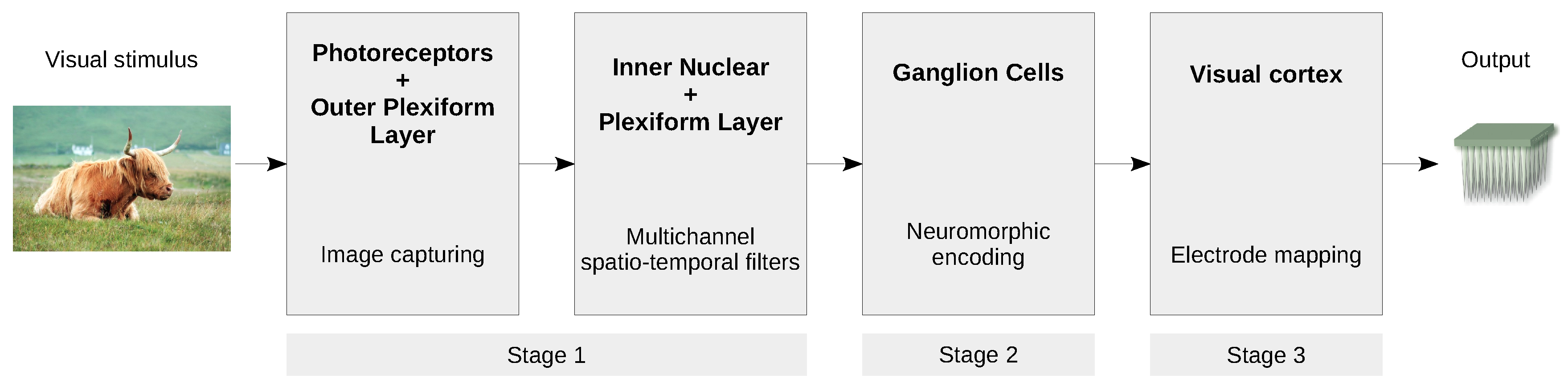 Sensors 19 04834 g002