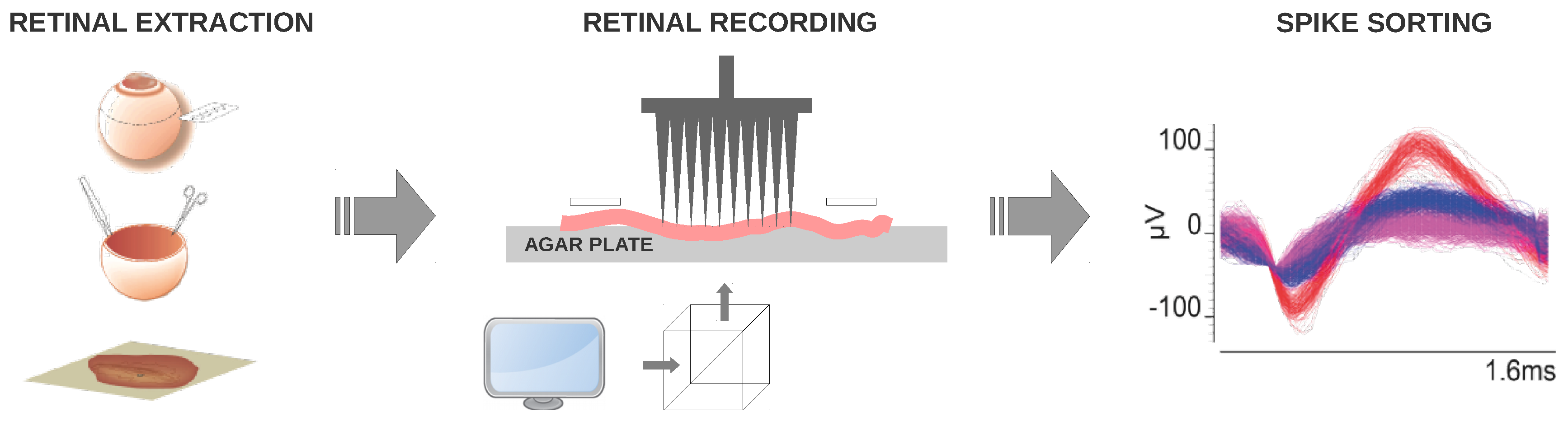 Sensors 19 04834 g005