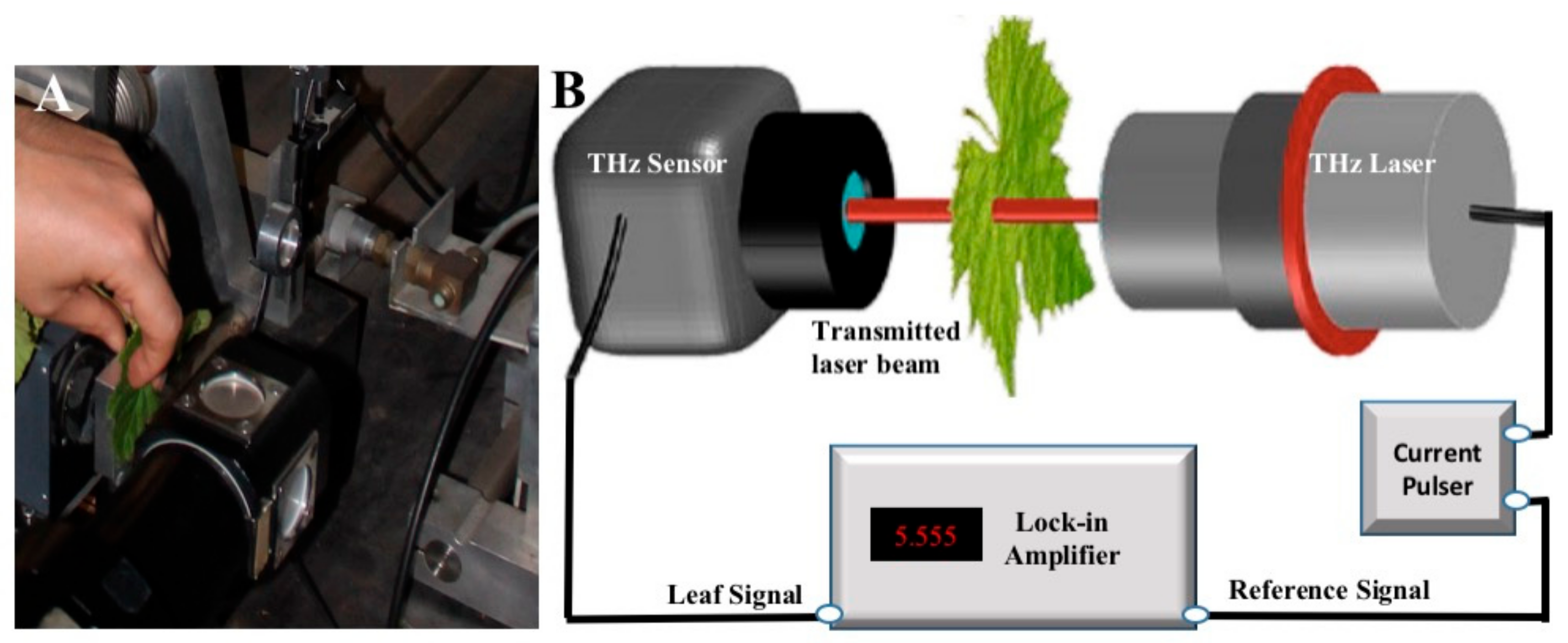 Sensors 19 04838 g001