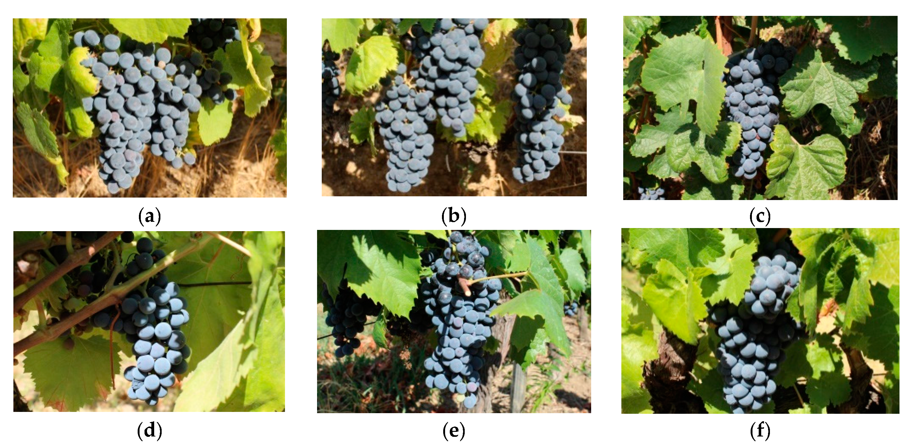 Sensors 19 04850 g002