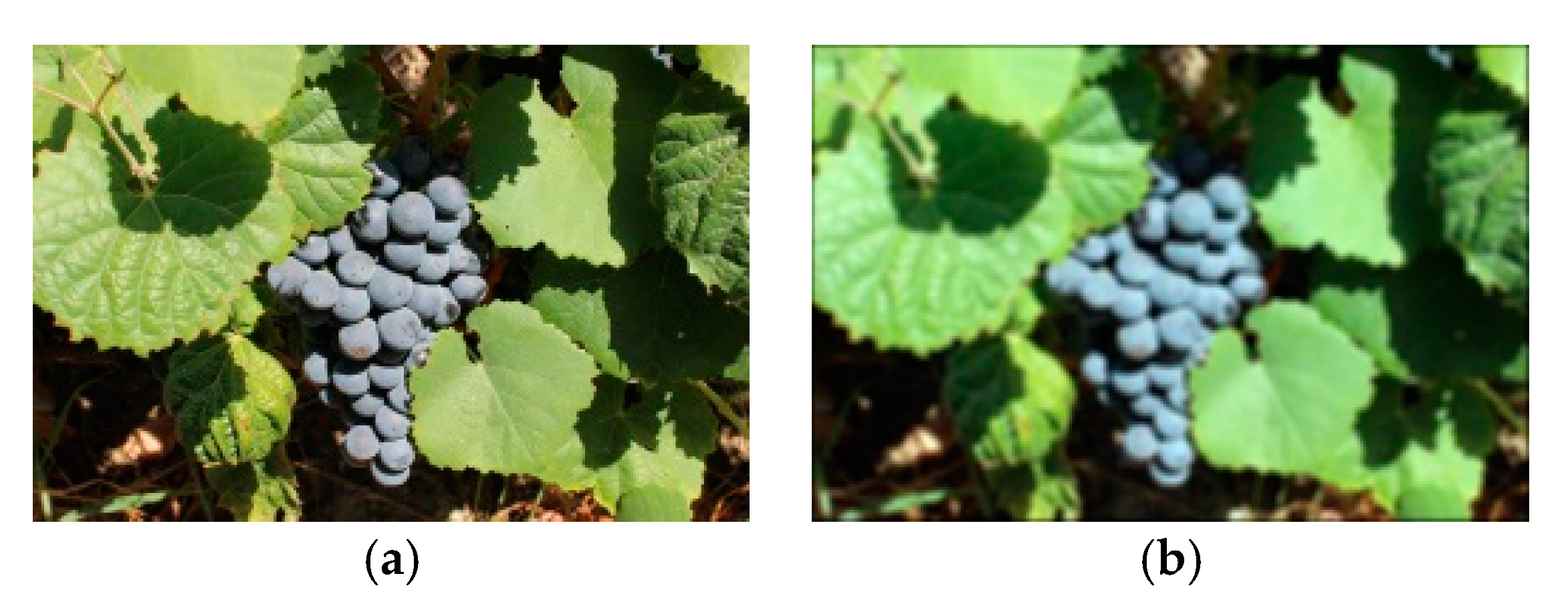 Sensors 19 04850 g004