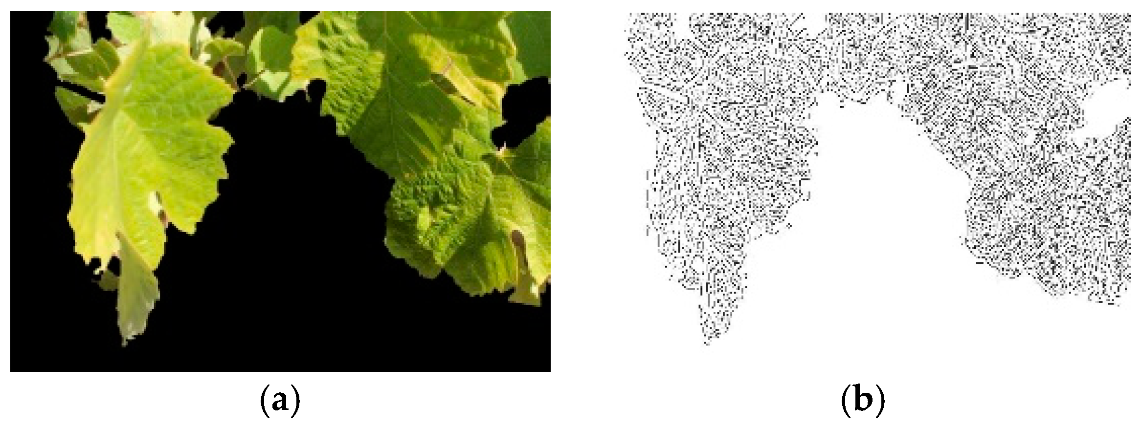 Sensors 19 04850 g005