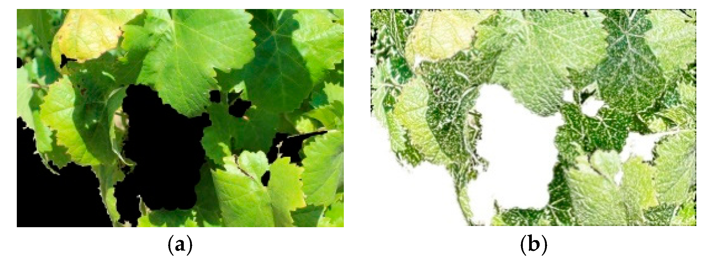 Sensors 19 04850 g006