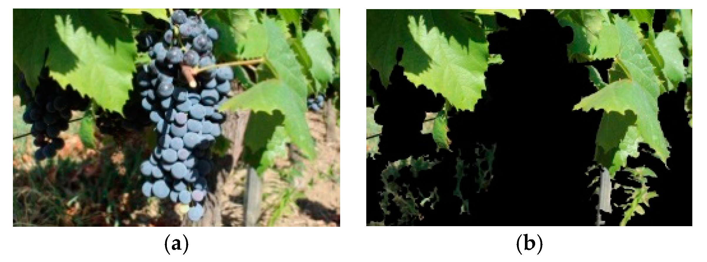 Sensors 19 04850 g007