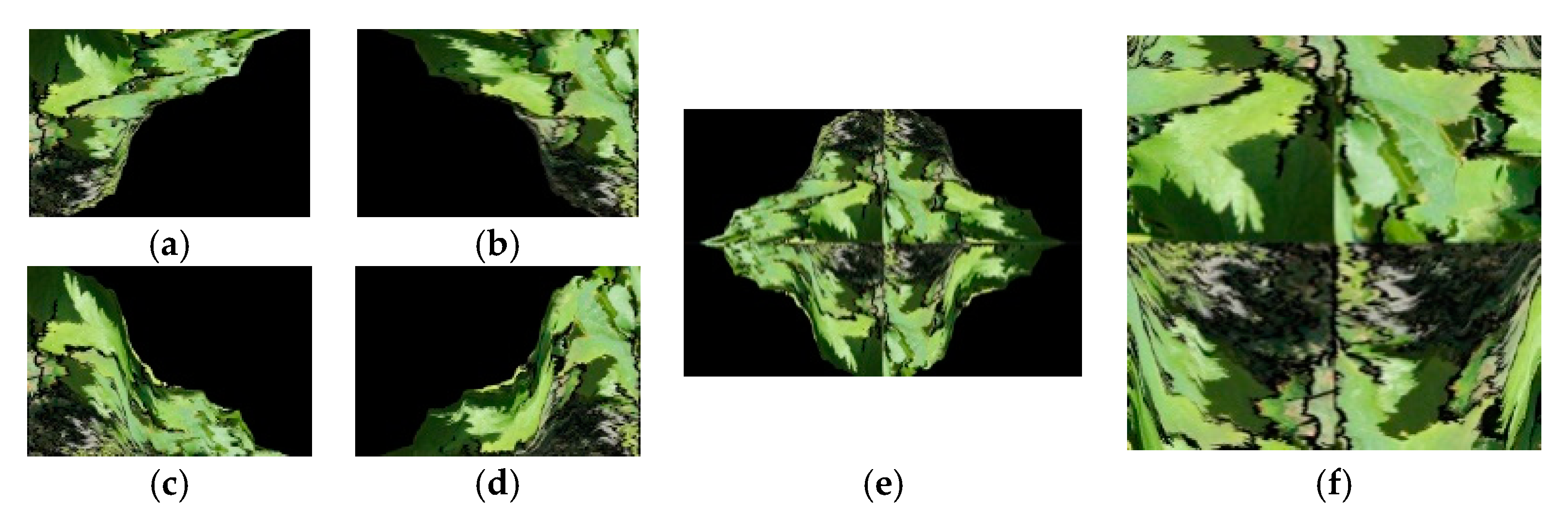 Sensors 19 04850 g008