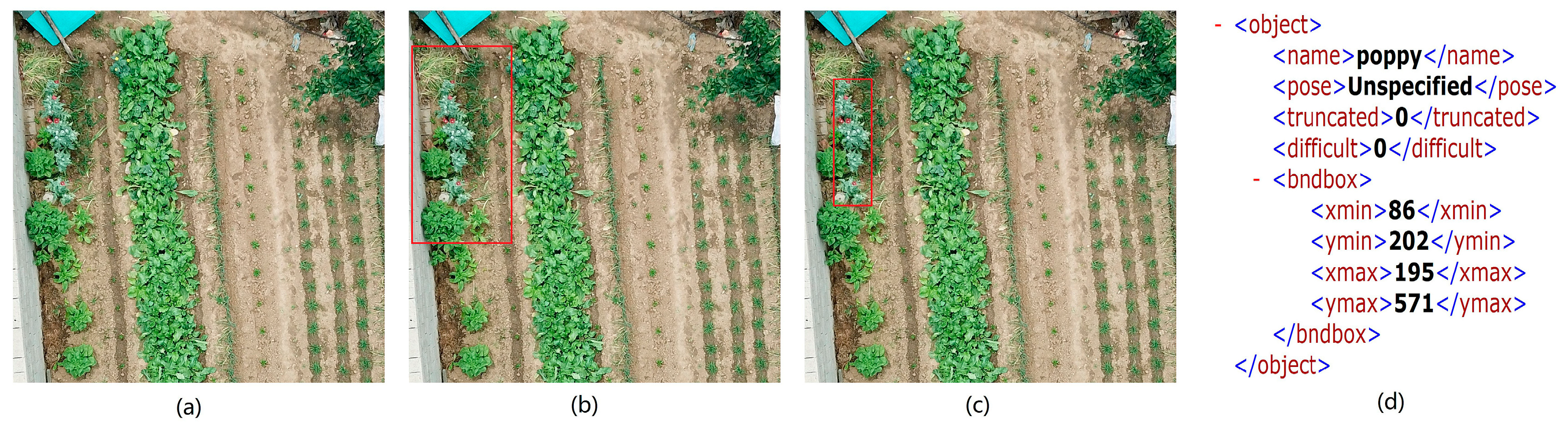 Sensors 19 04851 g002