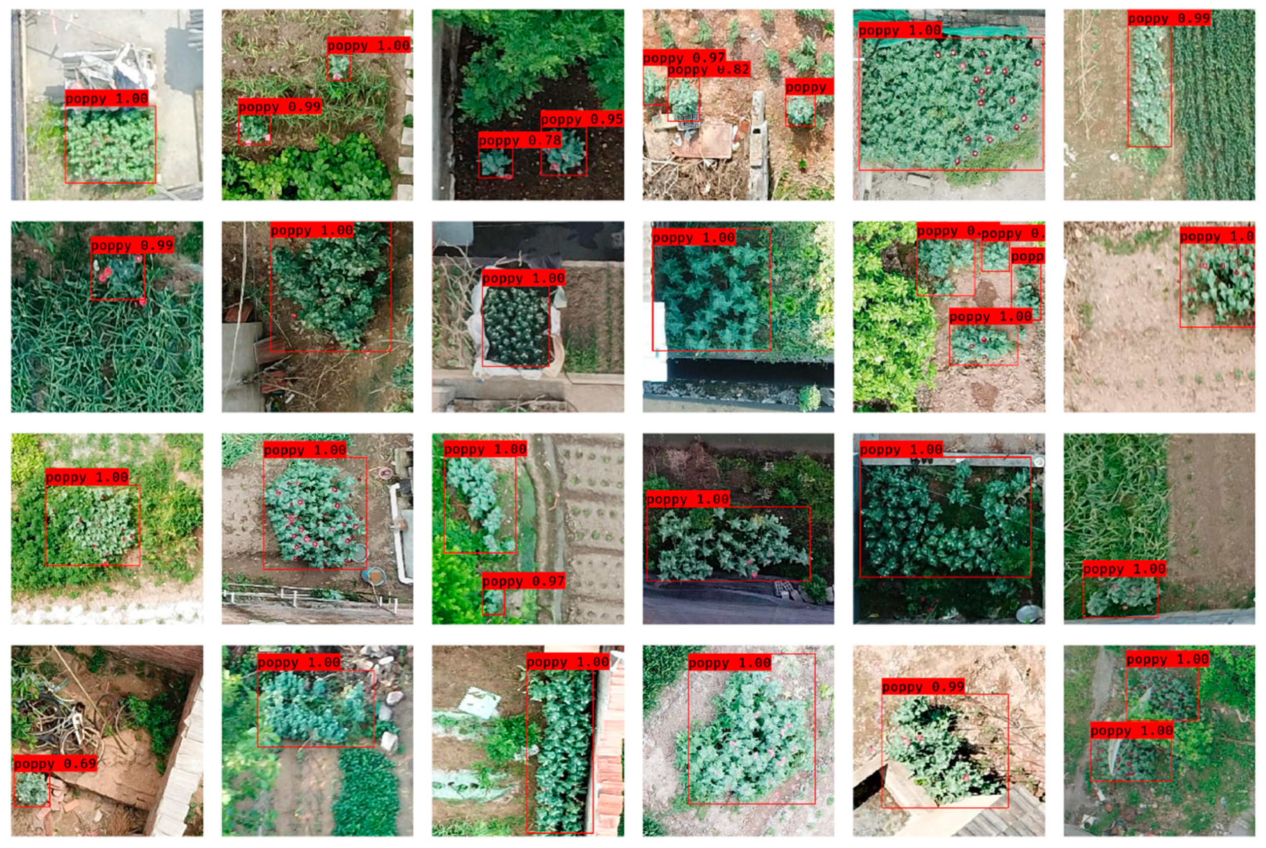 Sensors 19 04851 g014