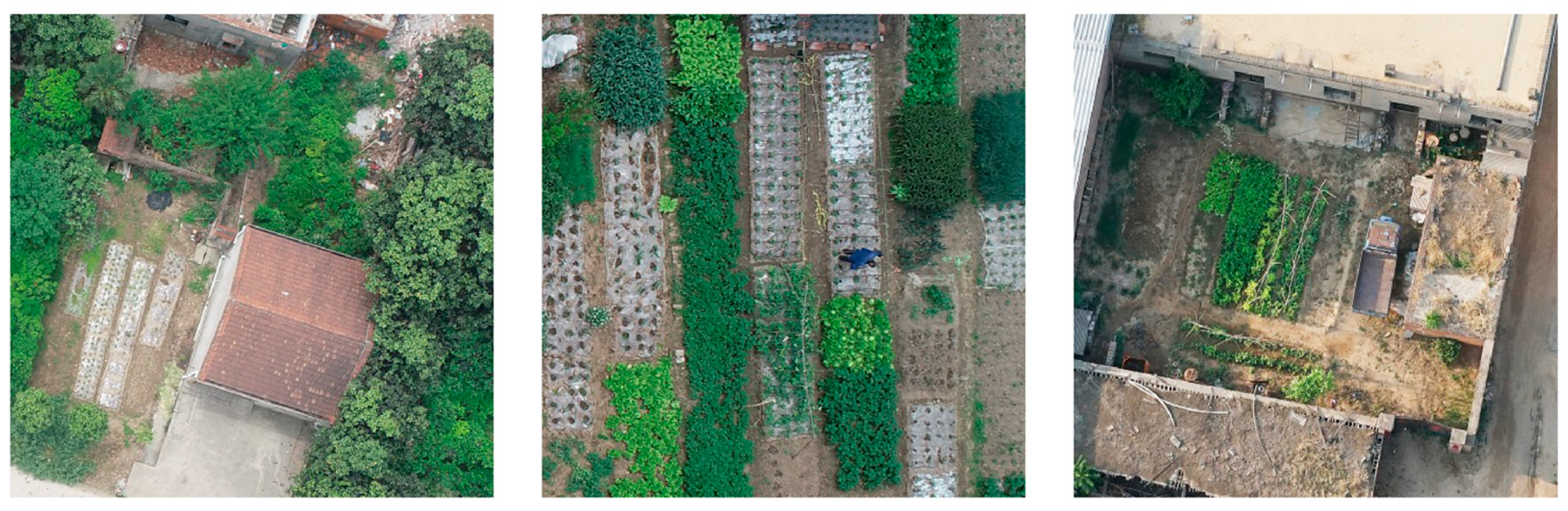 Sensors 19 04851 g019