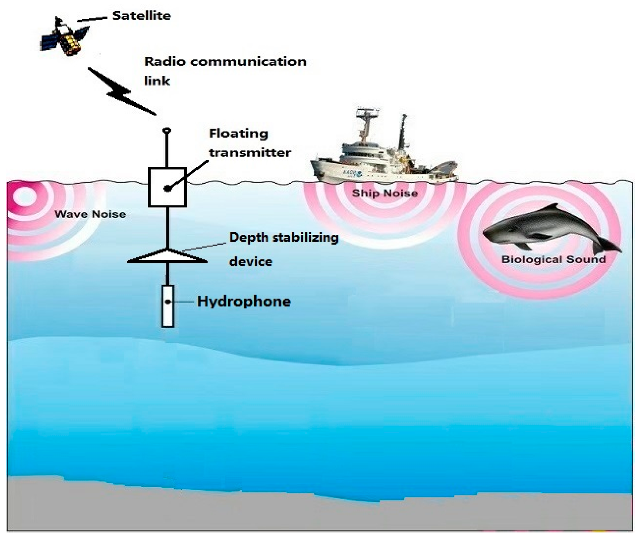 Sensors 19 04866 g001 Sensors 19 04866 g001