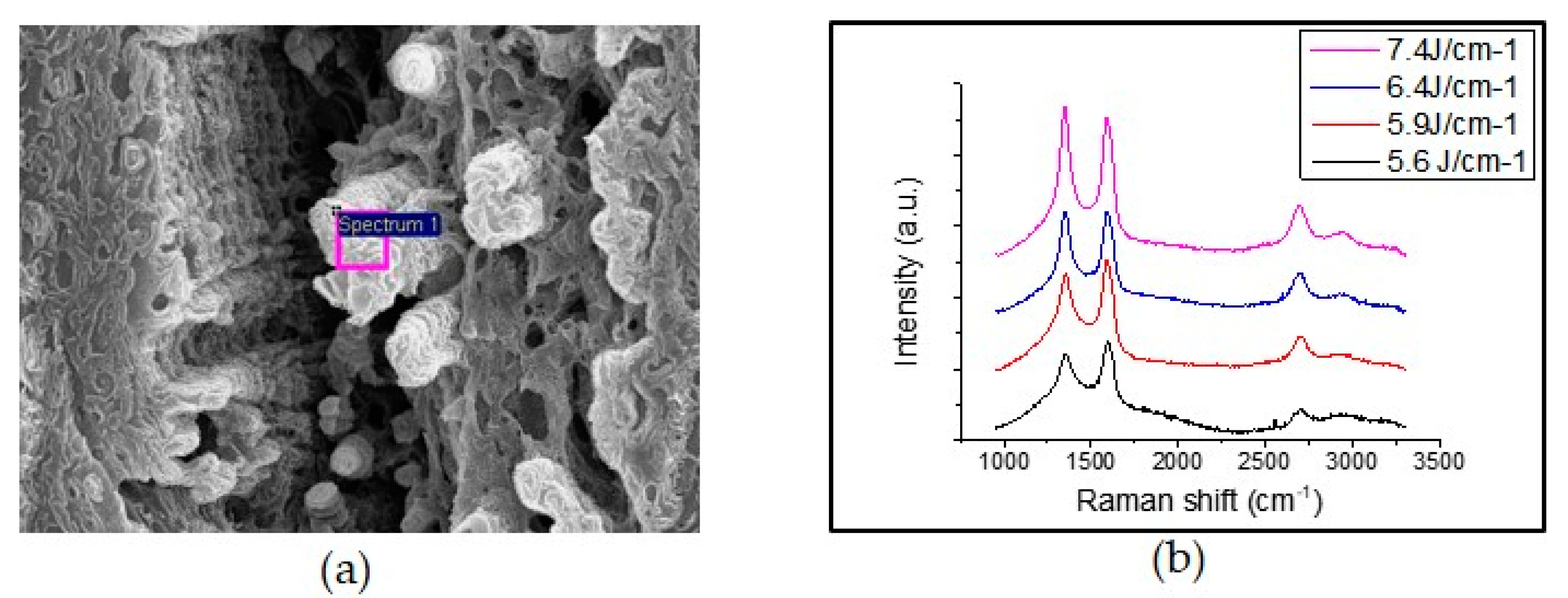 Sensors 19 04867 g005