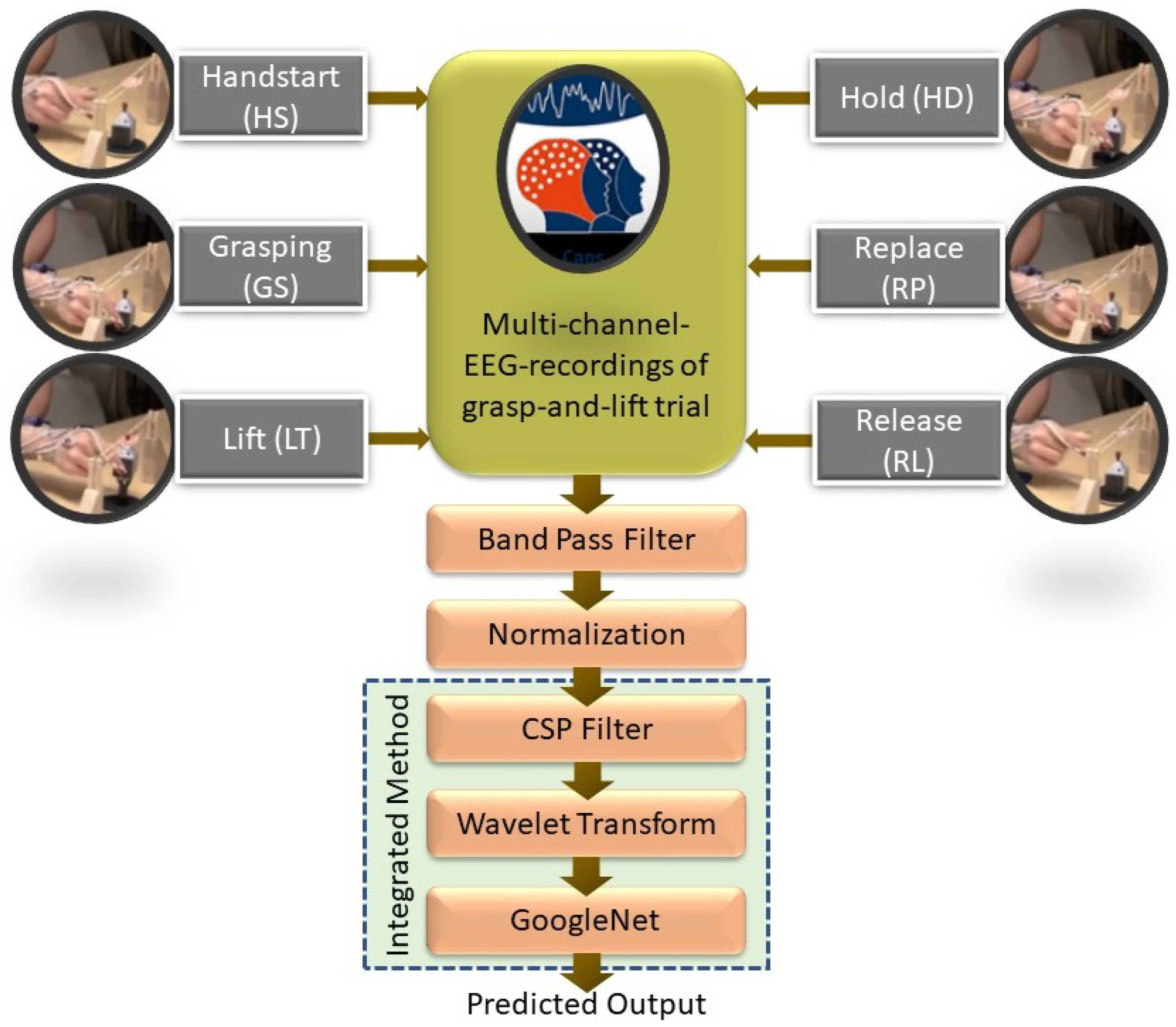 Sensors Free FullText Classification of Motor Functions from