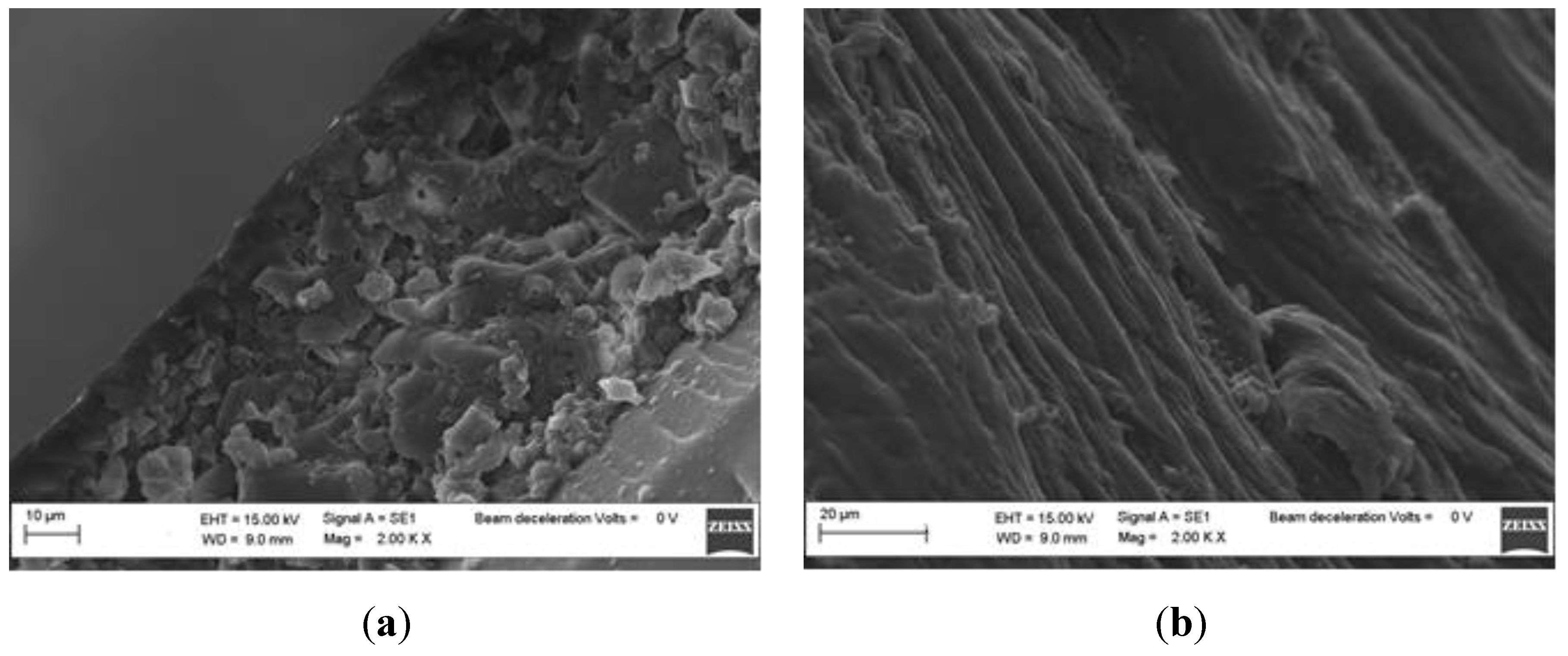 Sensors 19 04894 g001 Sensors 19 04894 g001