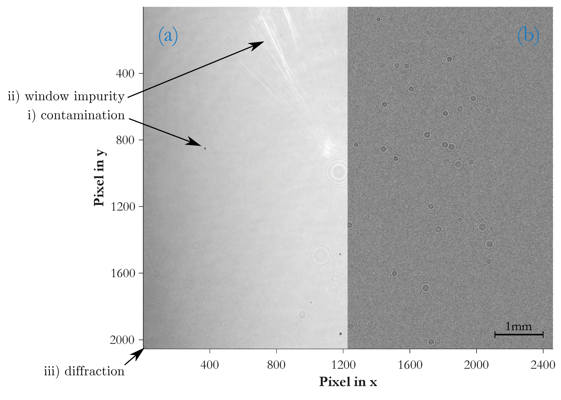 Sensors 19 04899 g006