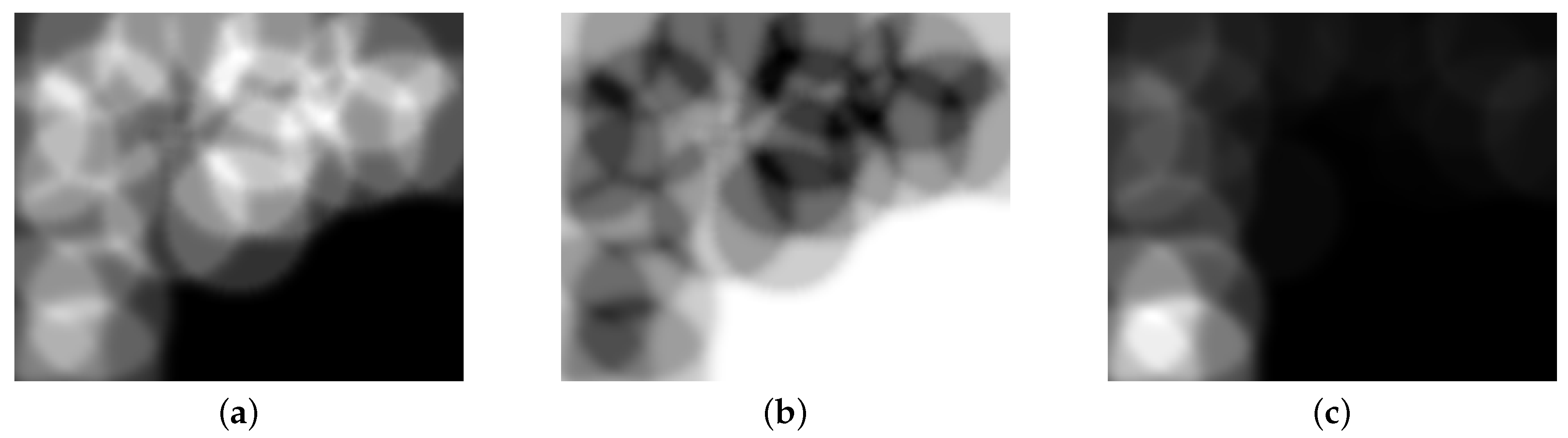 Sensors 19 04910 g004
