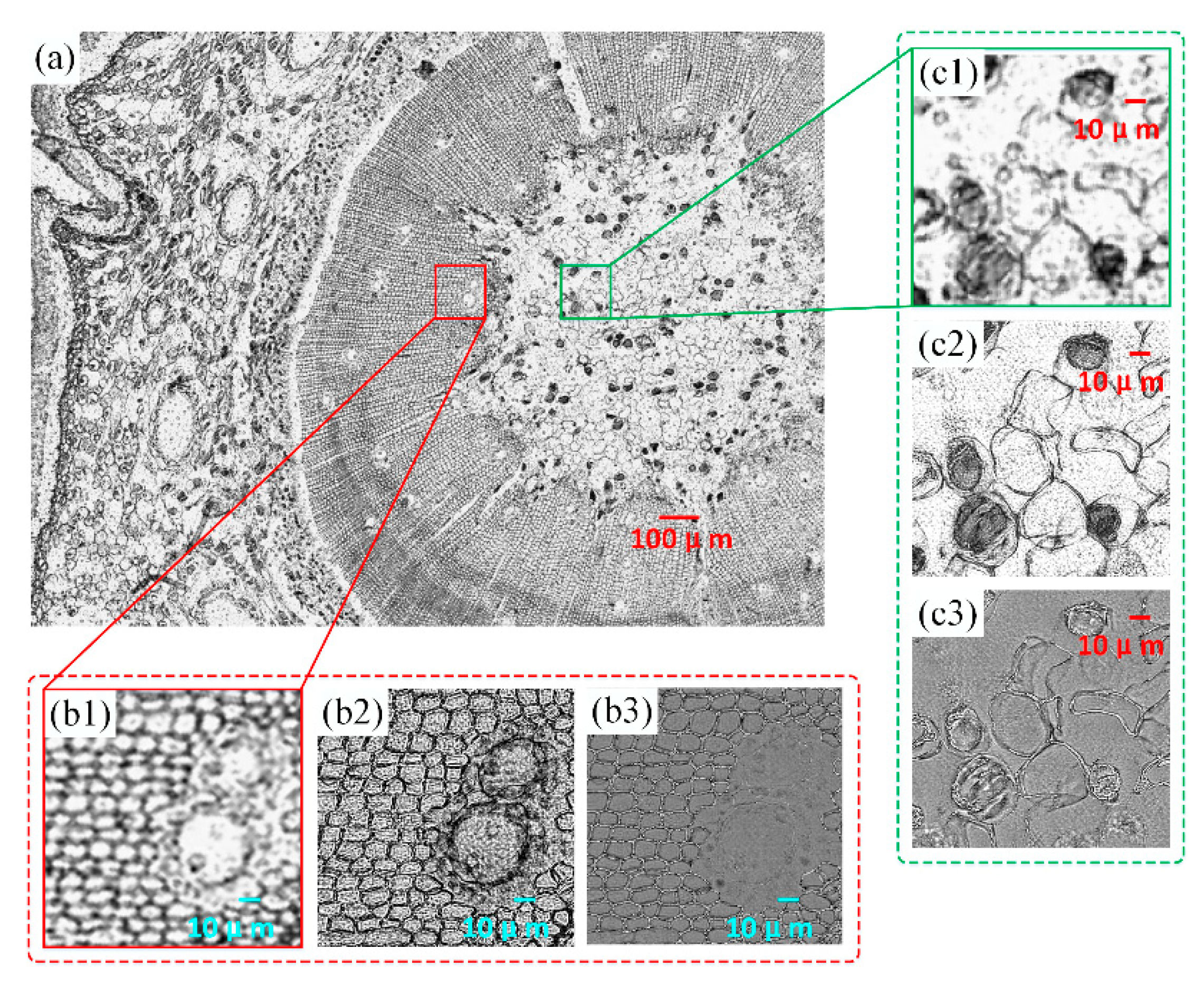 Sensors 19 04913 g006 550
