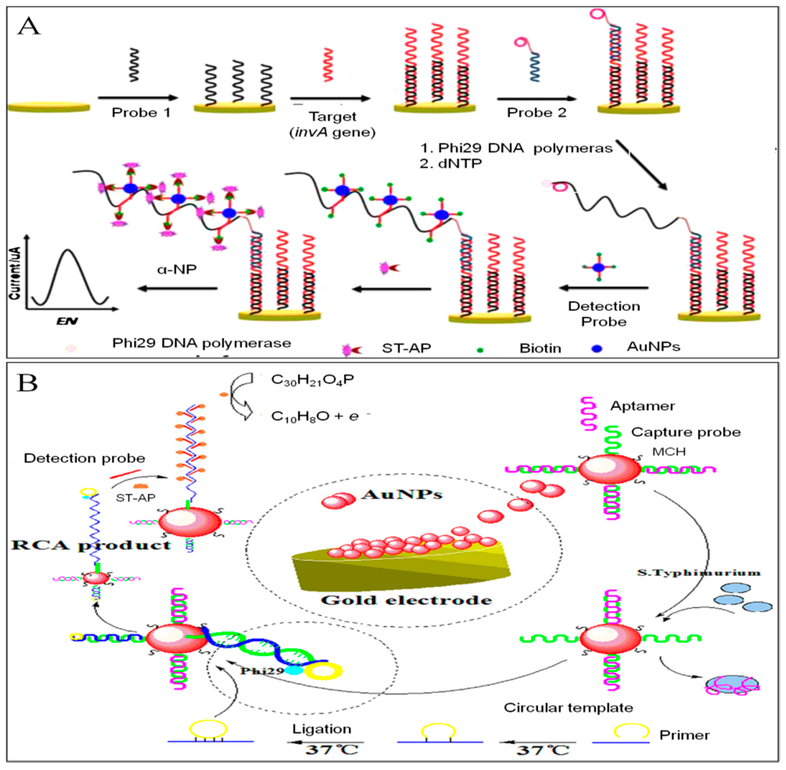 Sensors 19 04916 g010