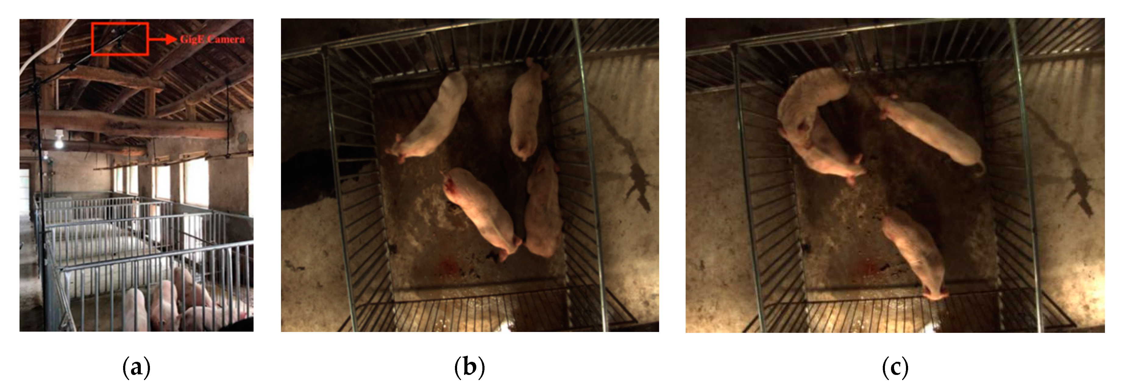 Sensors 19 04924 g001 550