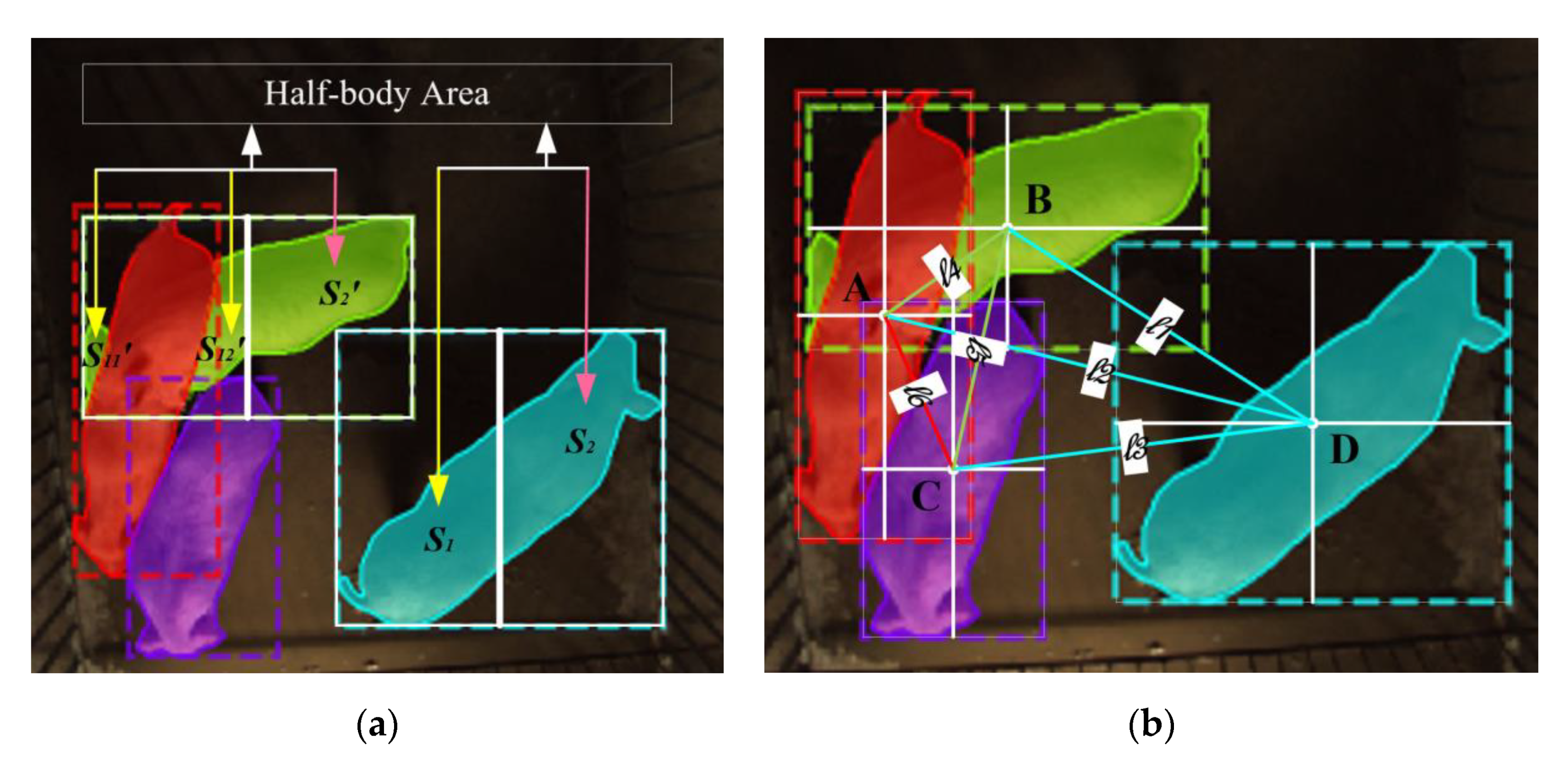 Sensors 19 04924 g006 550