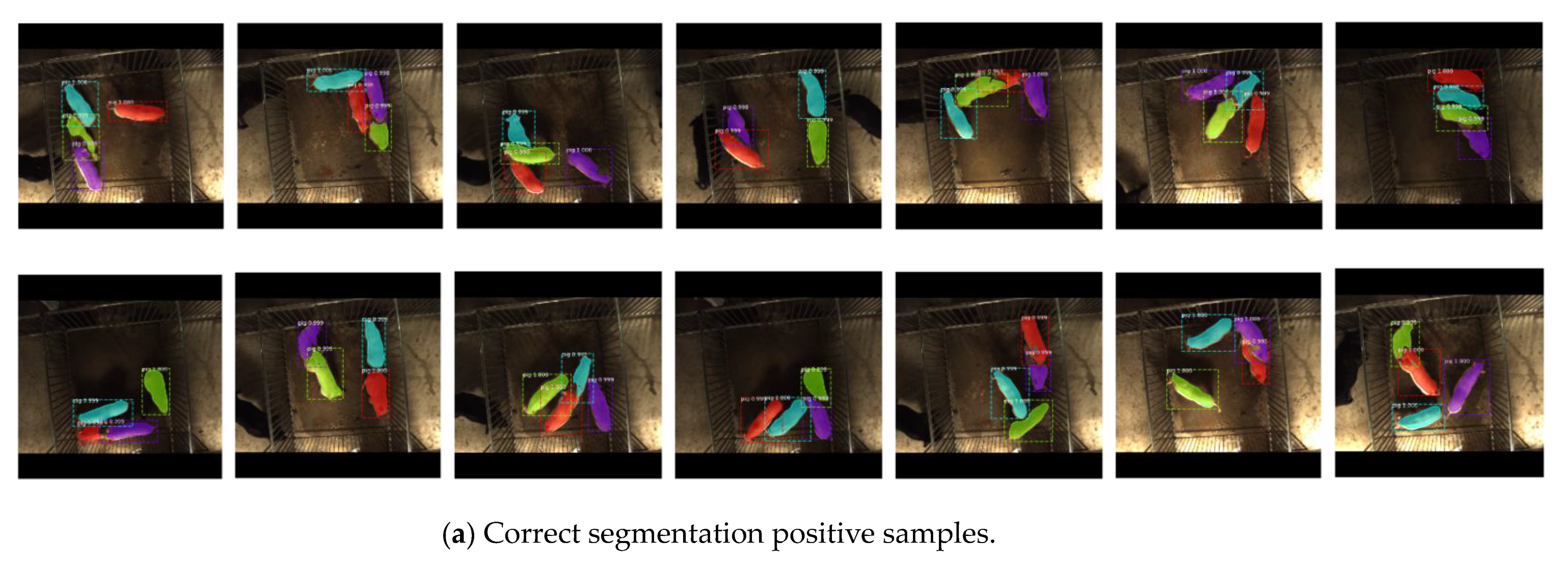 Sensors 19 04924 g009a 550