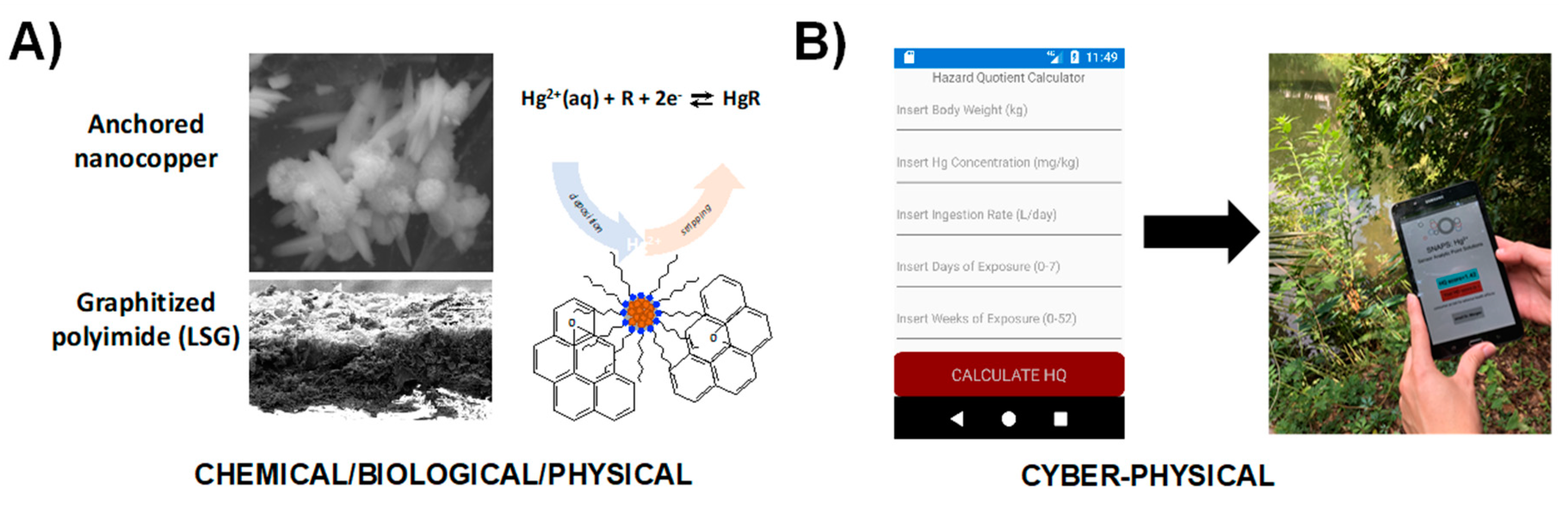 Sensors 19 04935 g007 Sensors 19 04935 g007