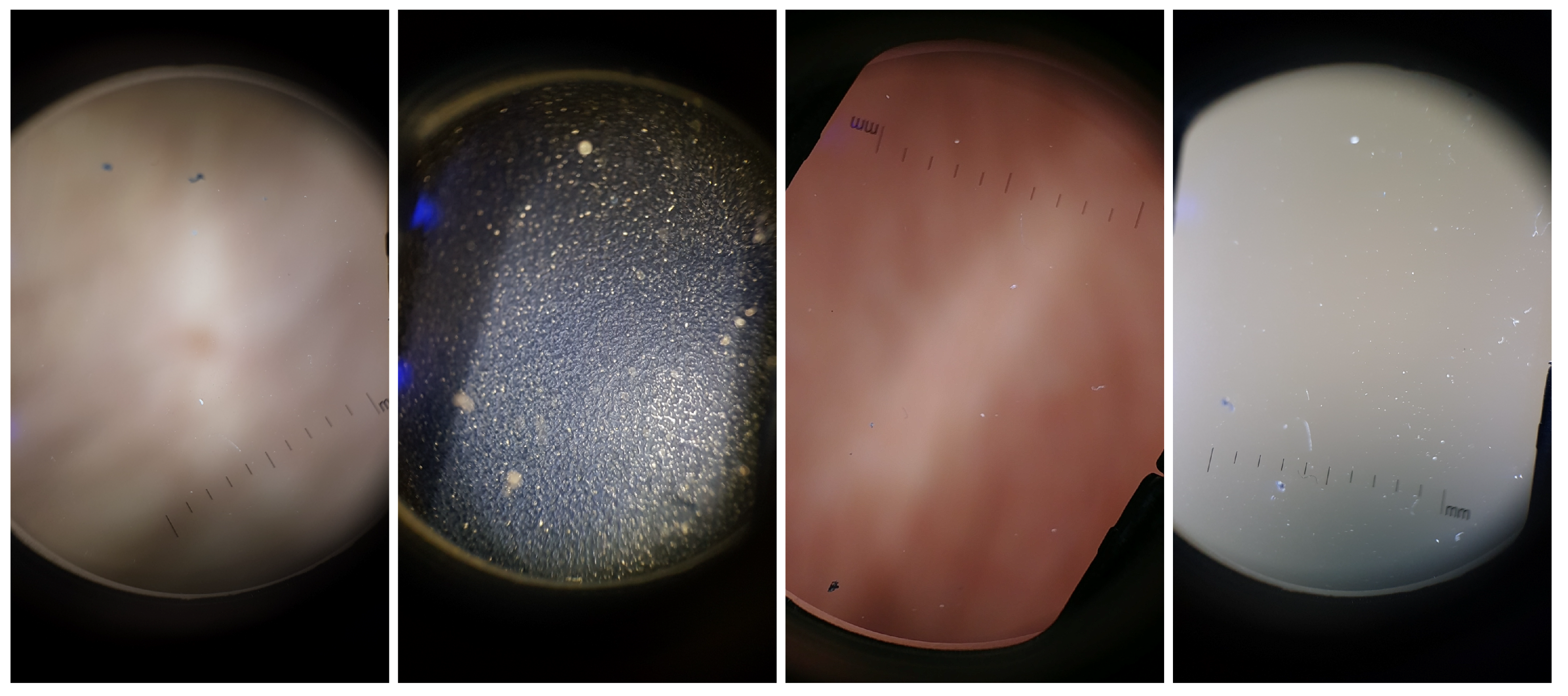 Sensors 19 04957 g003 550