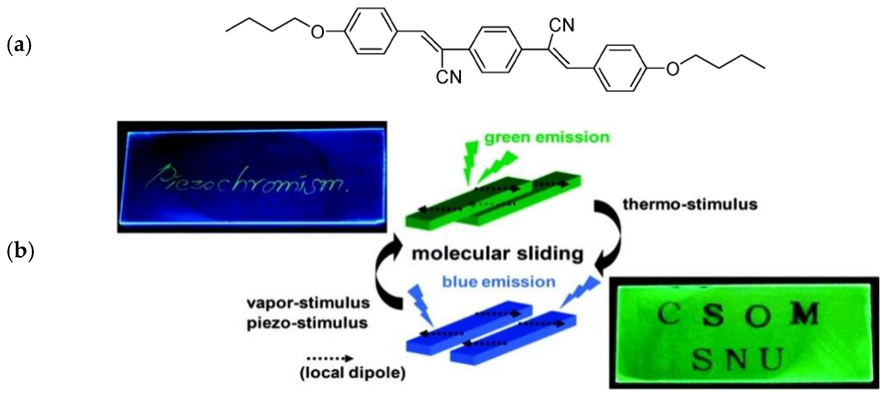 Sensors 19 04969 g004
