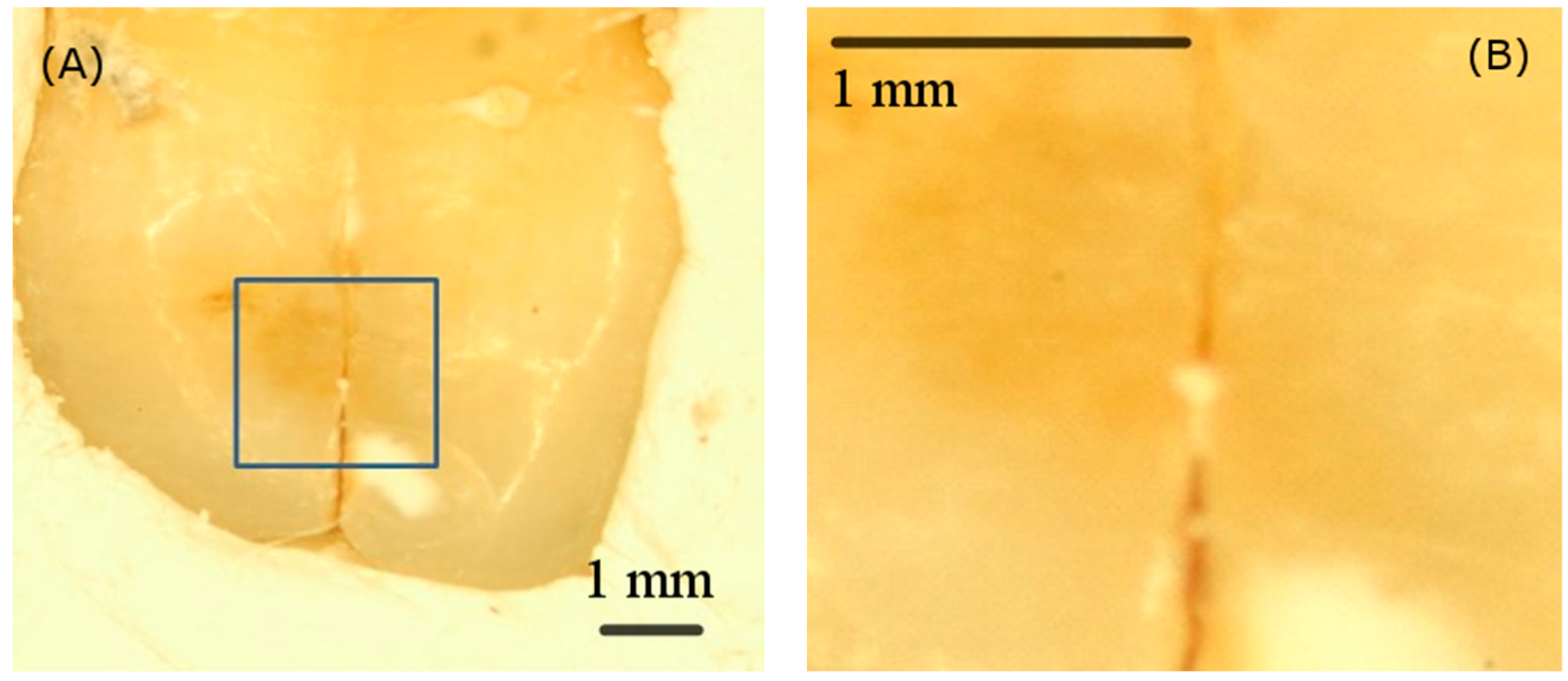 Sensors 19 04971 g008