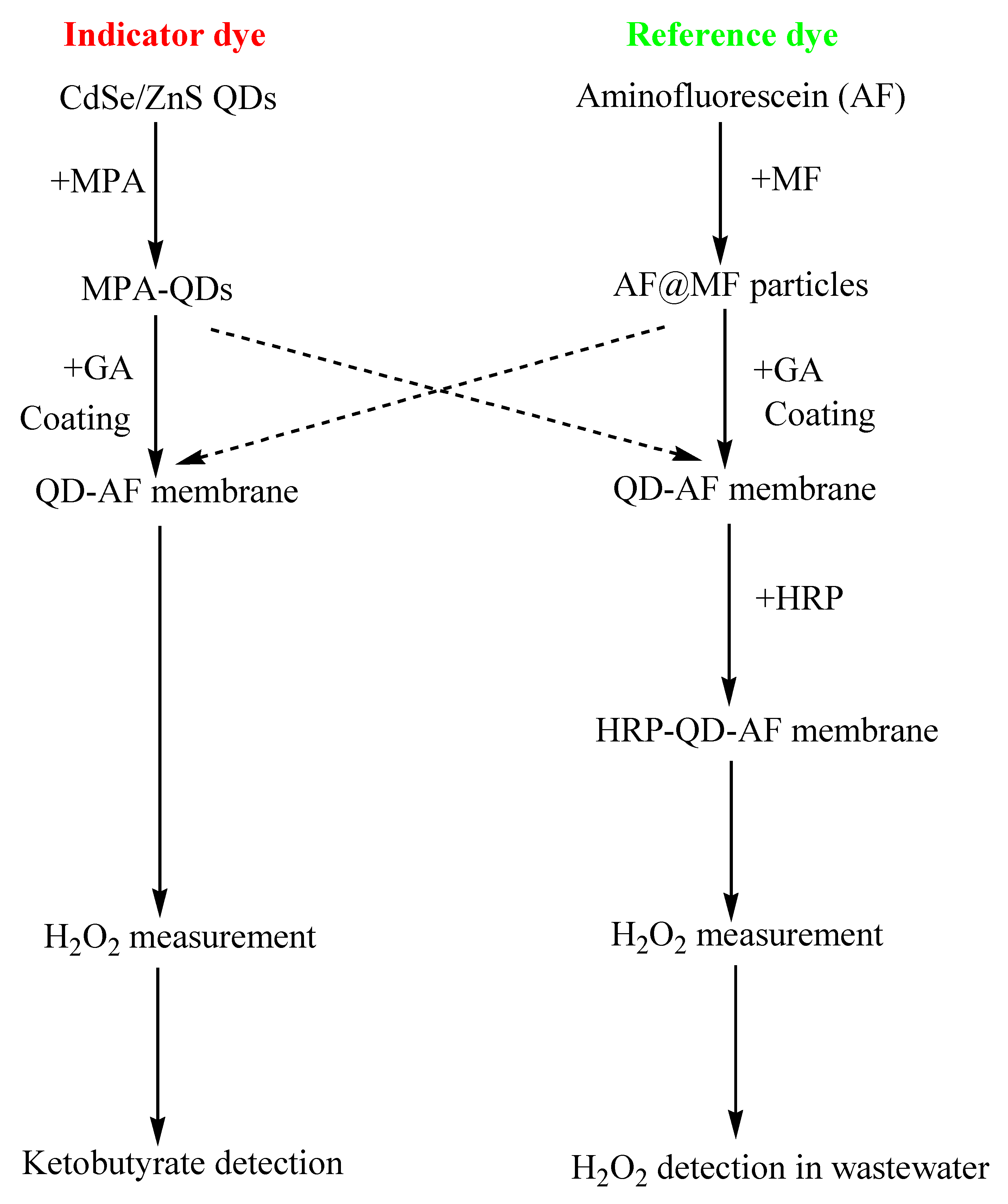 Sensors 19 04977 sch001 Sensors 19 04977 sch001