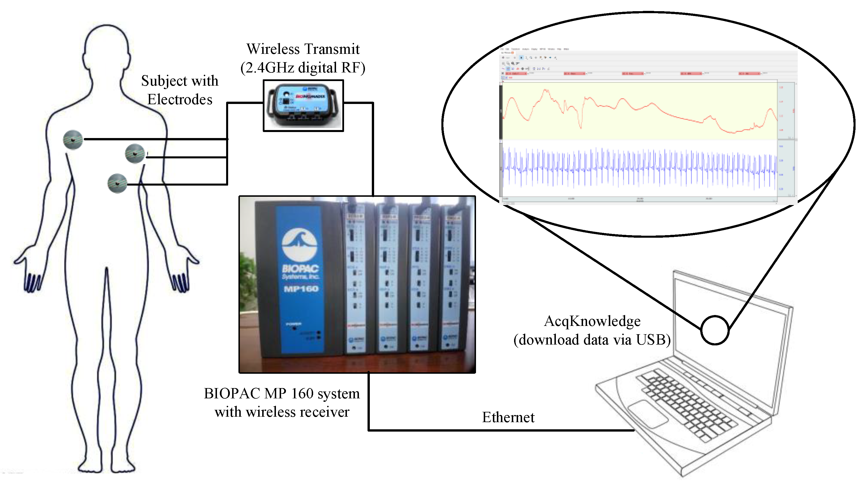 Sensors 19 04982 g003