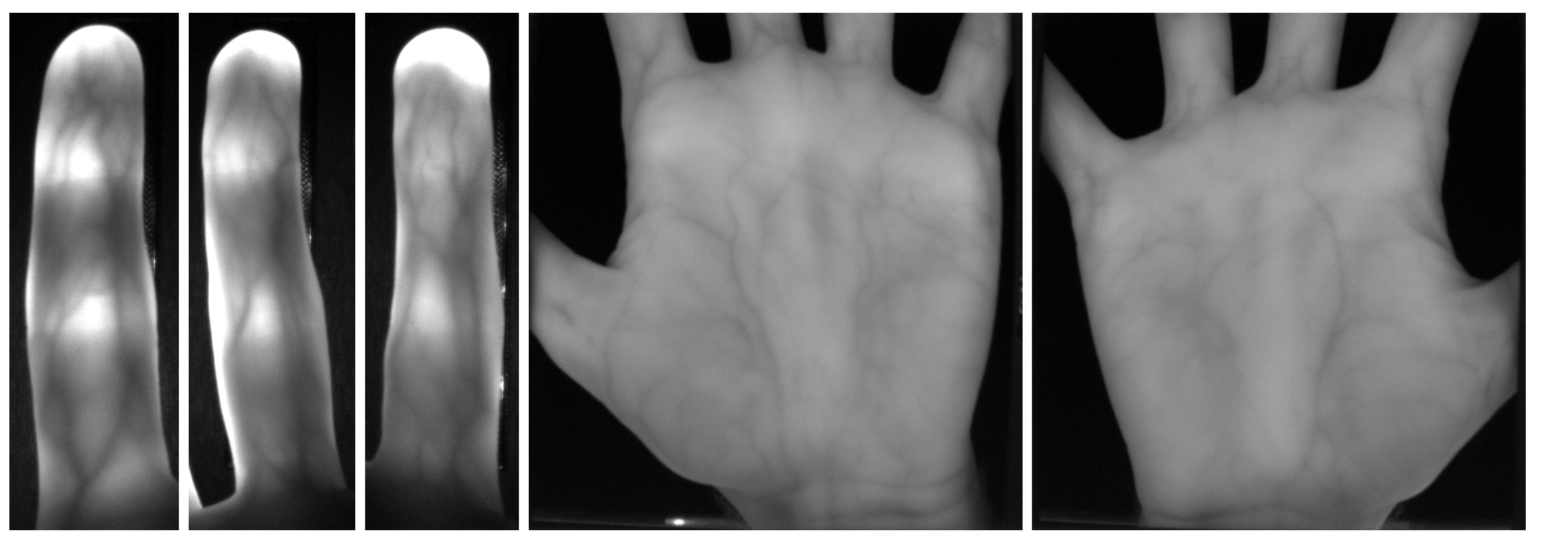 Sensors 19 05014 g006