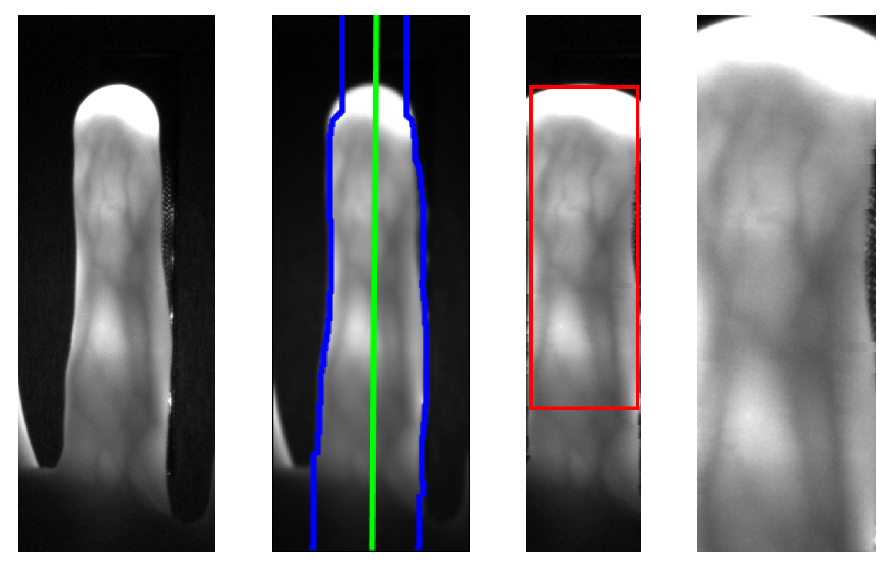 Sensors 19 05014 g008