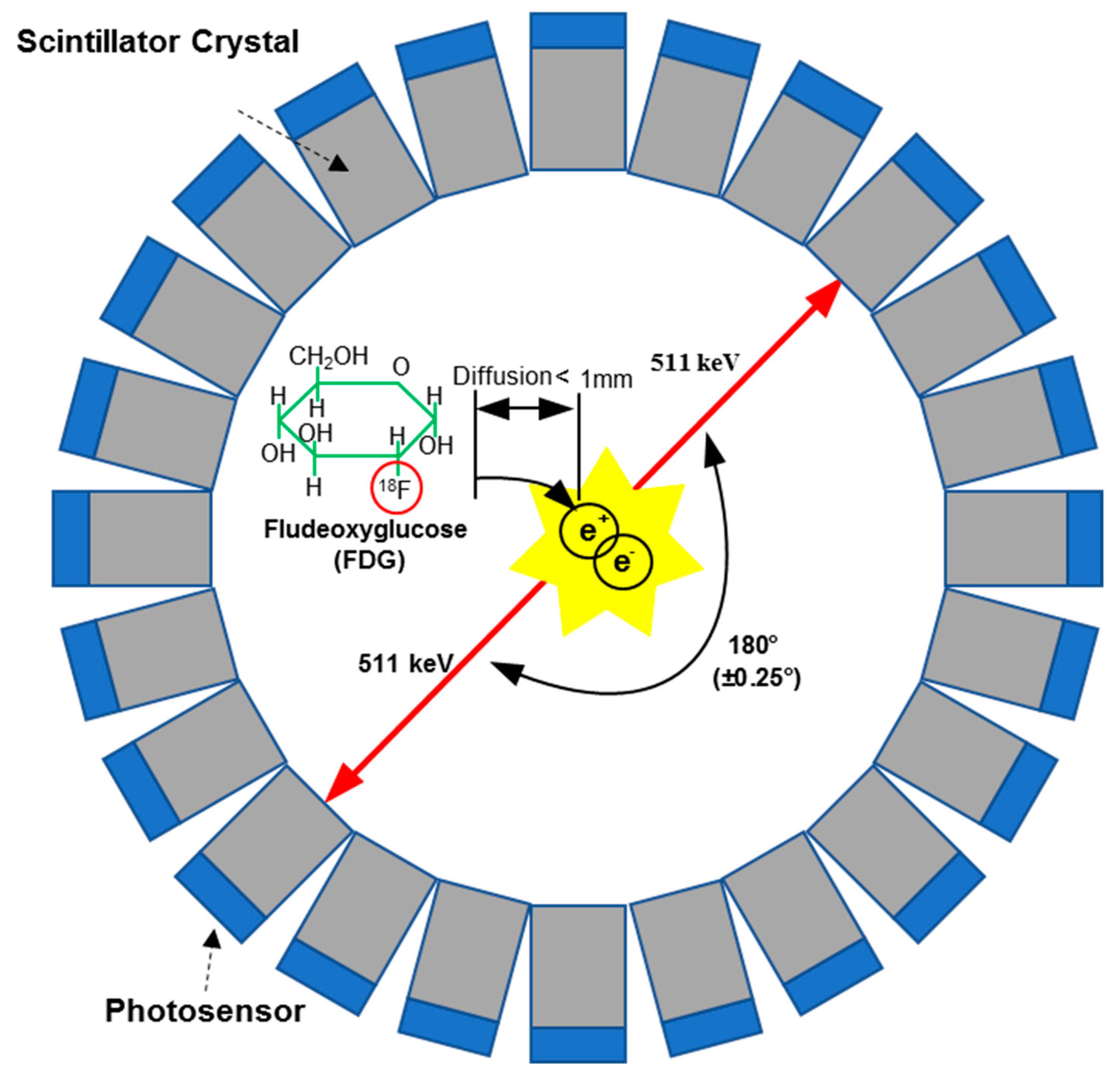 Sensors | Full-Text | Sensors Positron Emission Tomography Applications