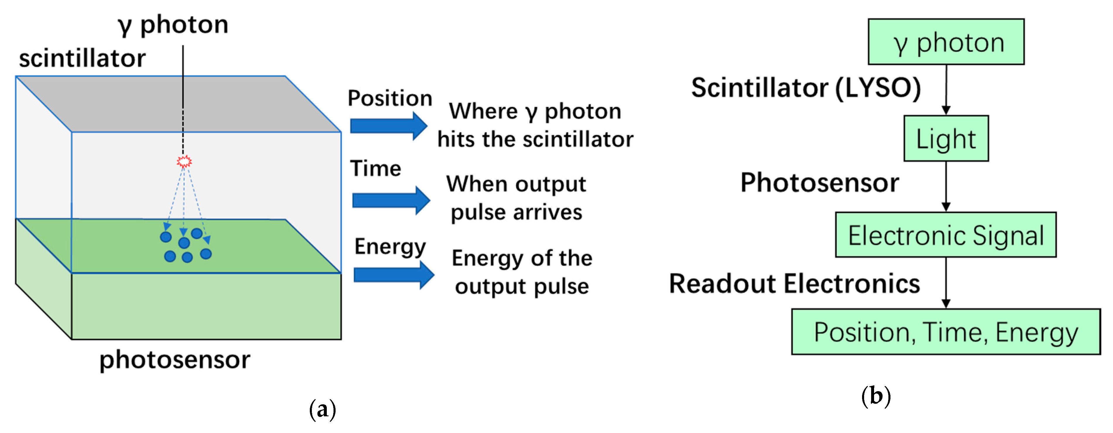 Sensors 19 05019 g004