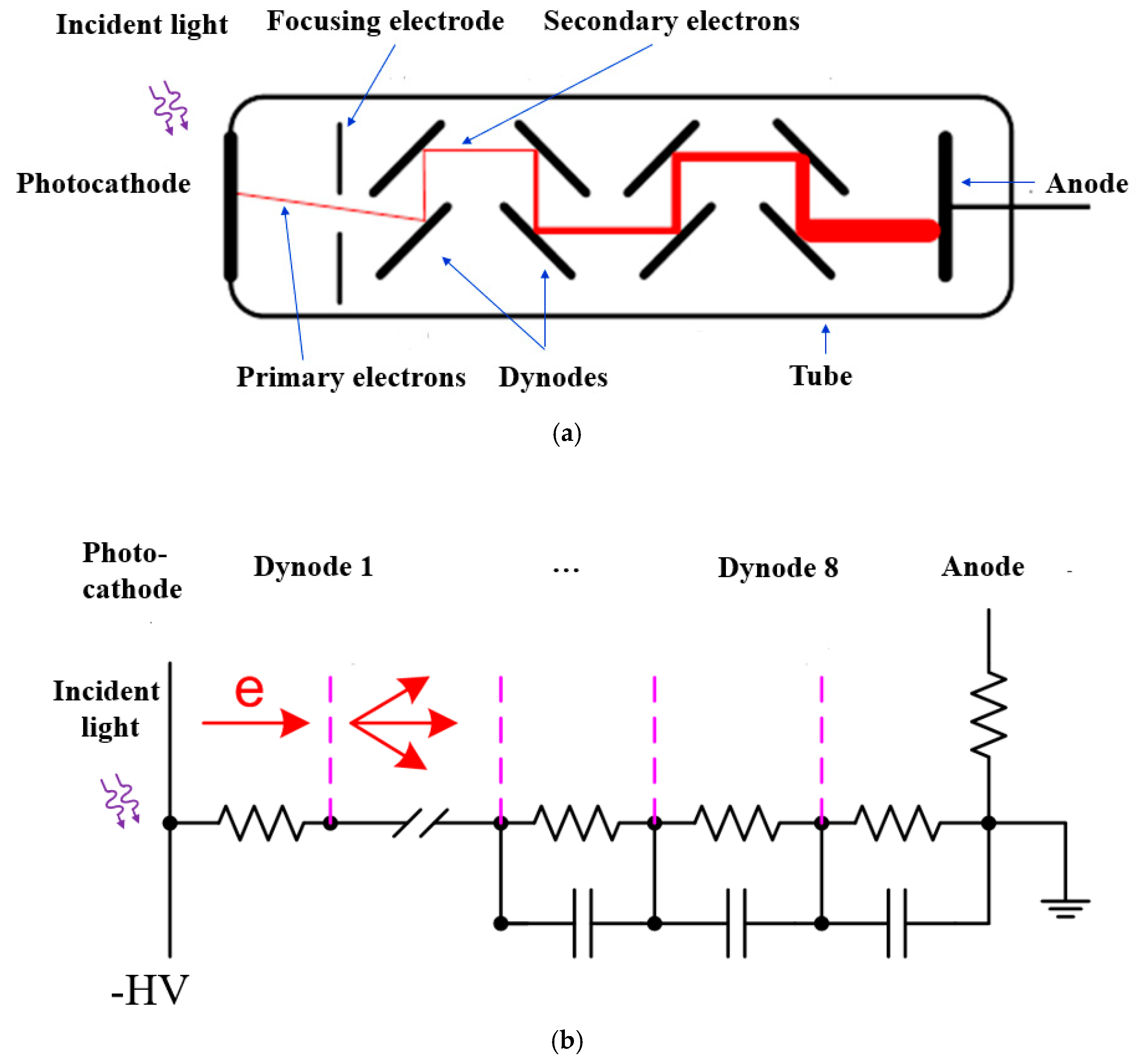 Sensors 19 05019 g005