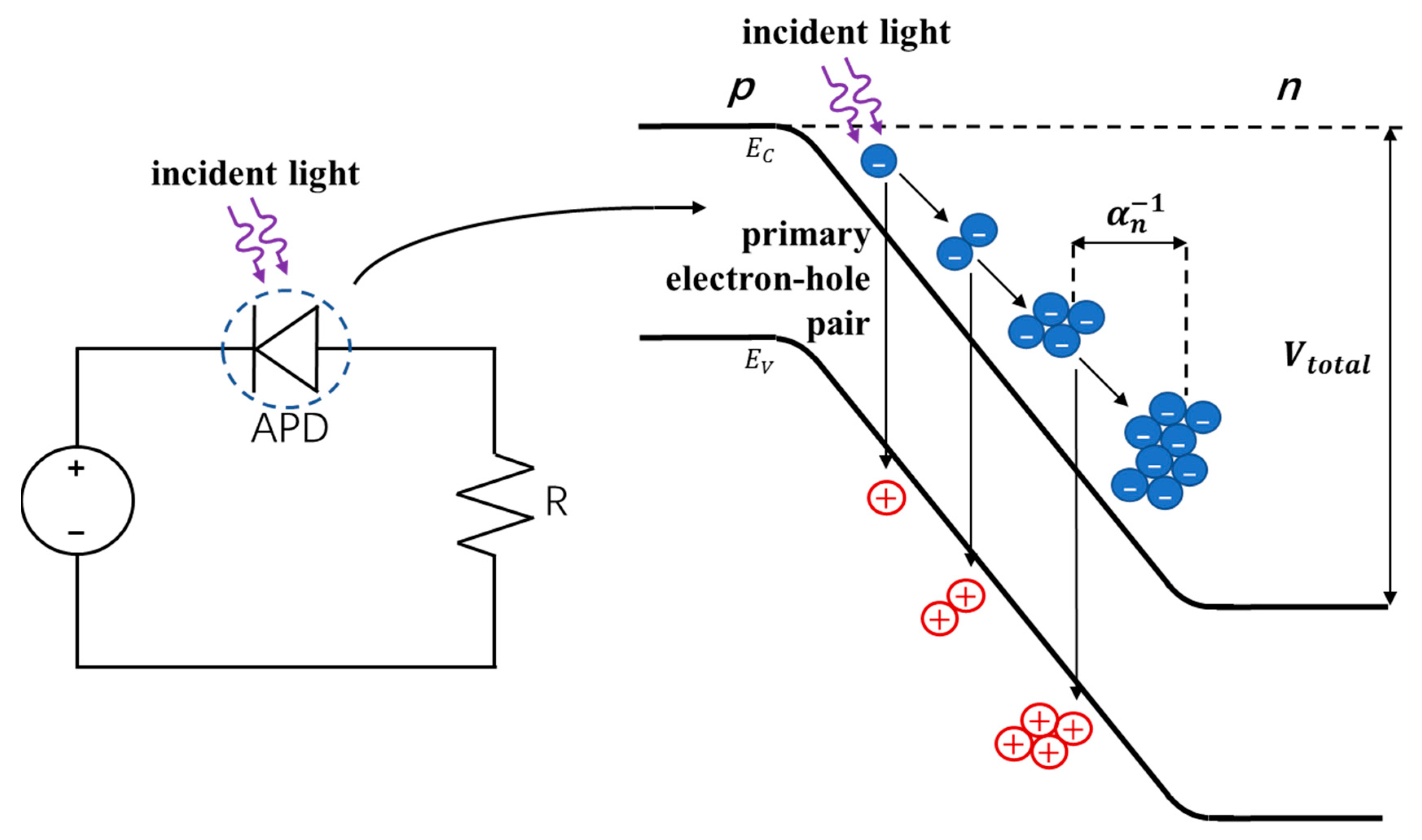 Sensors 19 05019 g009