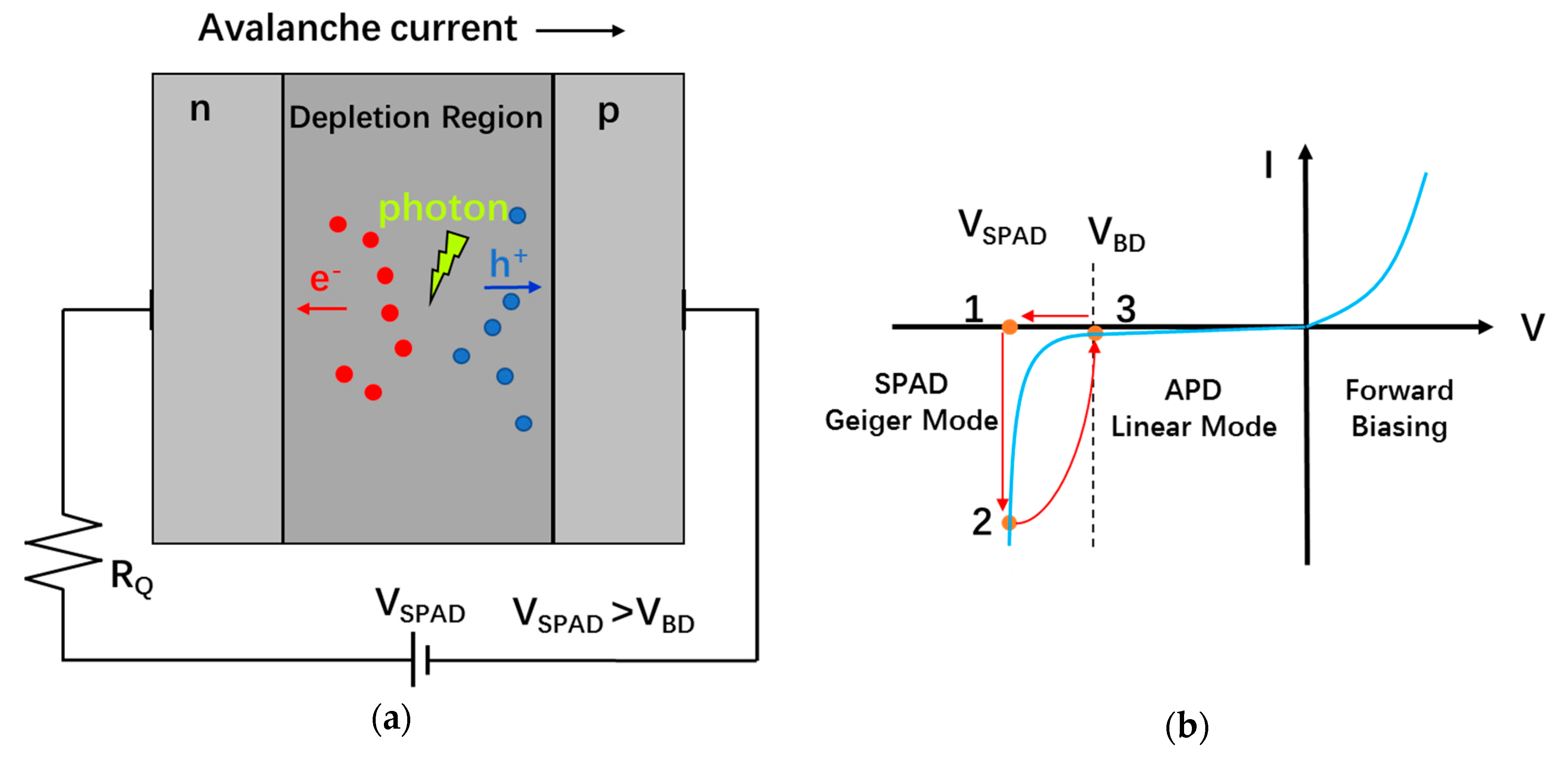 Sensors 19 05019 g010