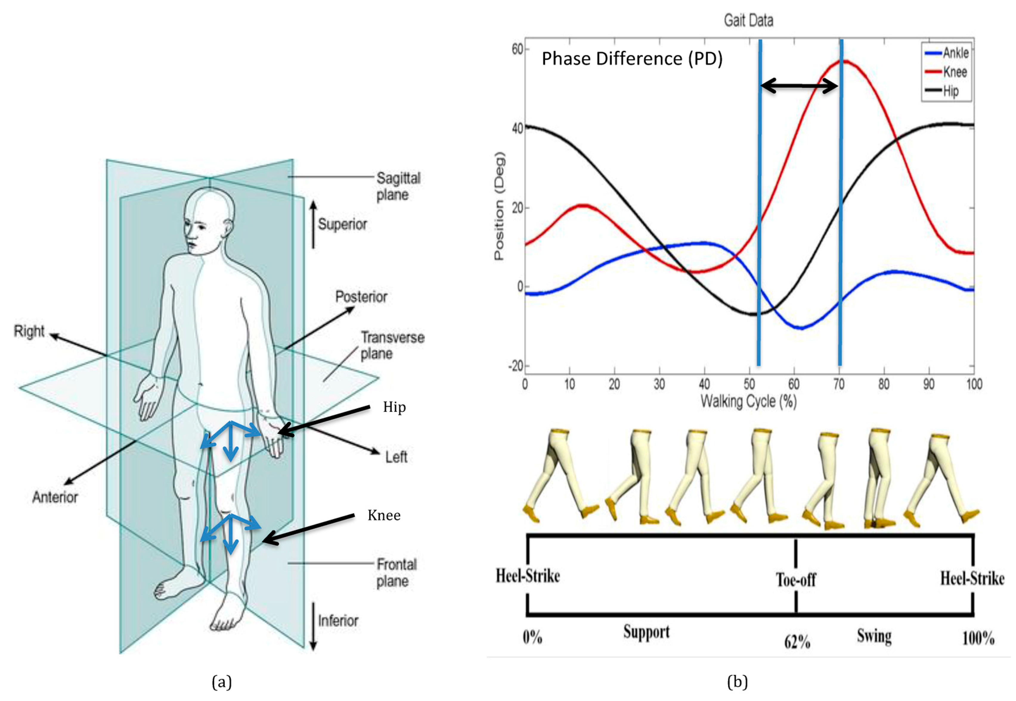 Sensors 19 05024 g002