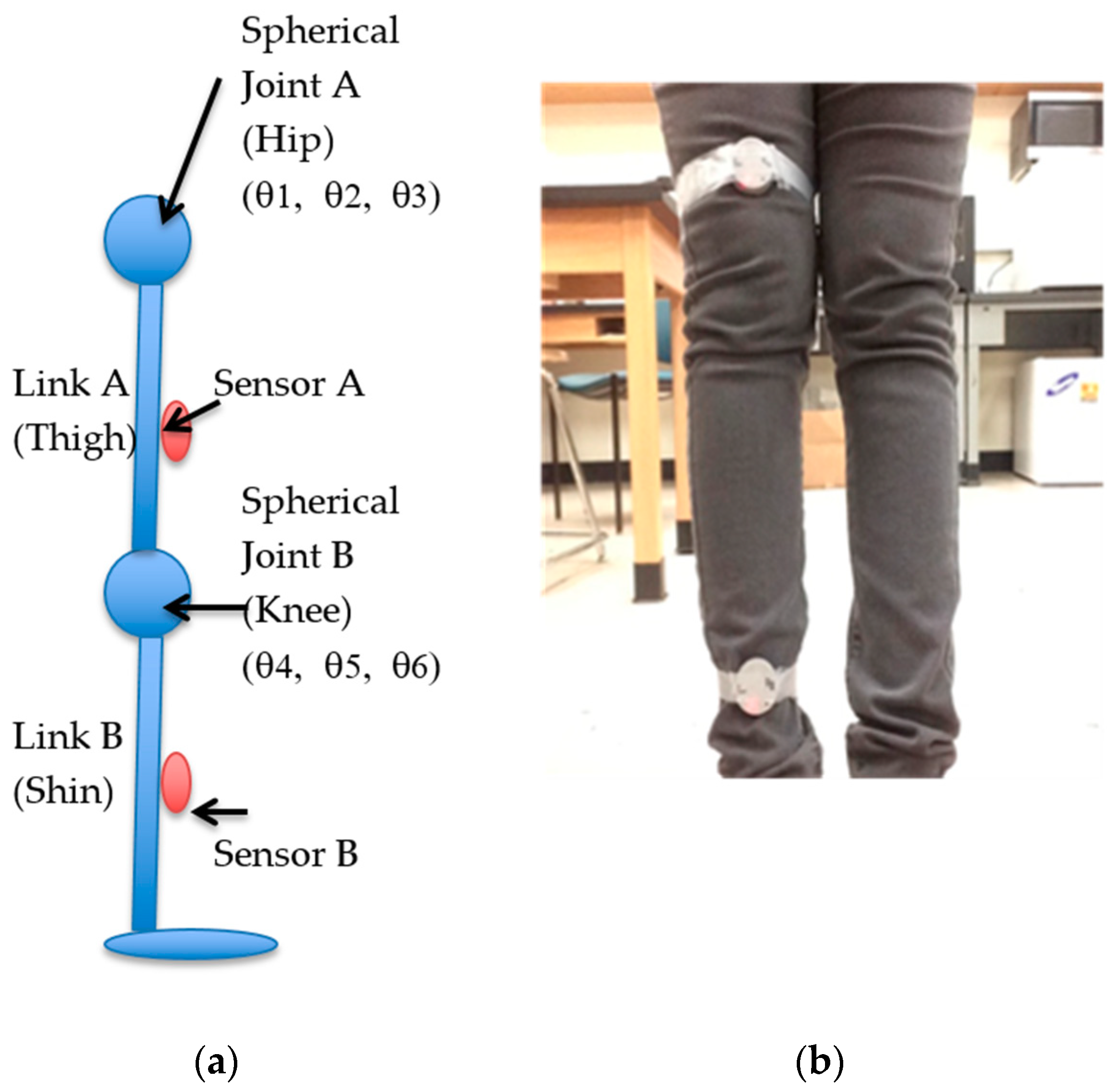 Sensors 19 05024 g003