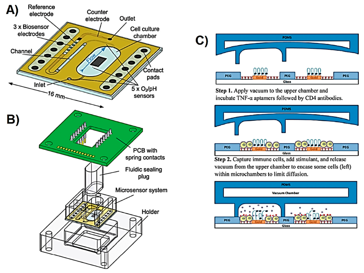 Sensors 19 05027 g005 Sensors 19 05027 g005