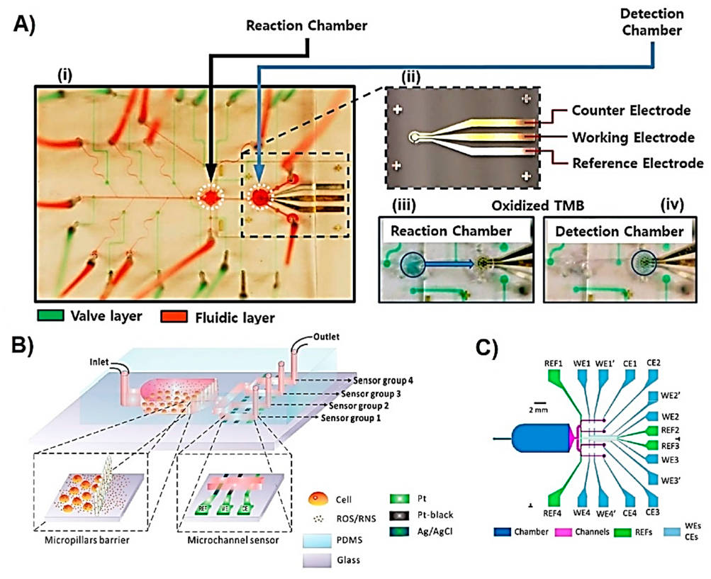 Sensors 19 05027 g006 Sensors 19 05027 g006